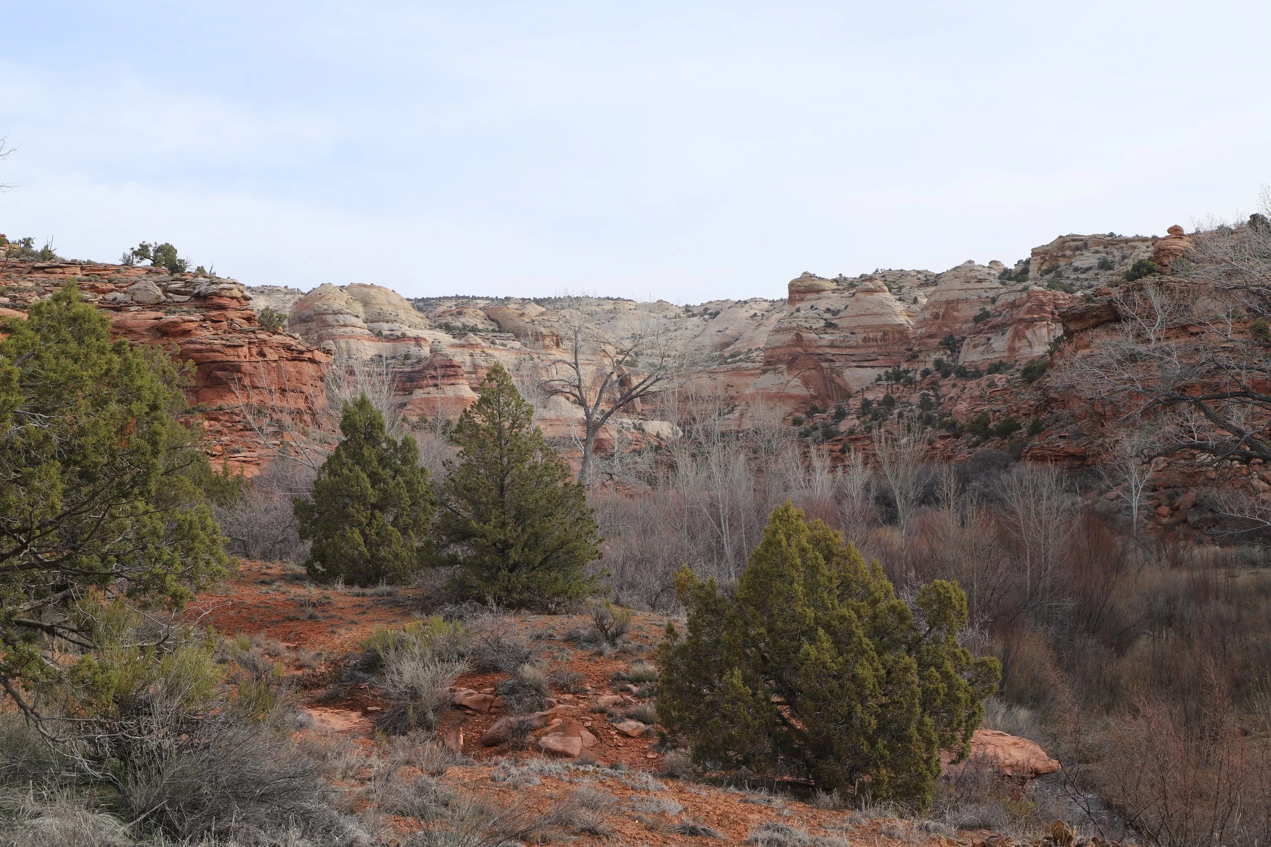 Lower calf creek falls is an easy hike