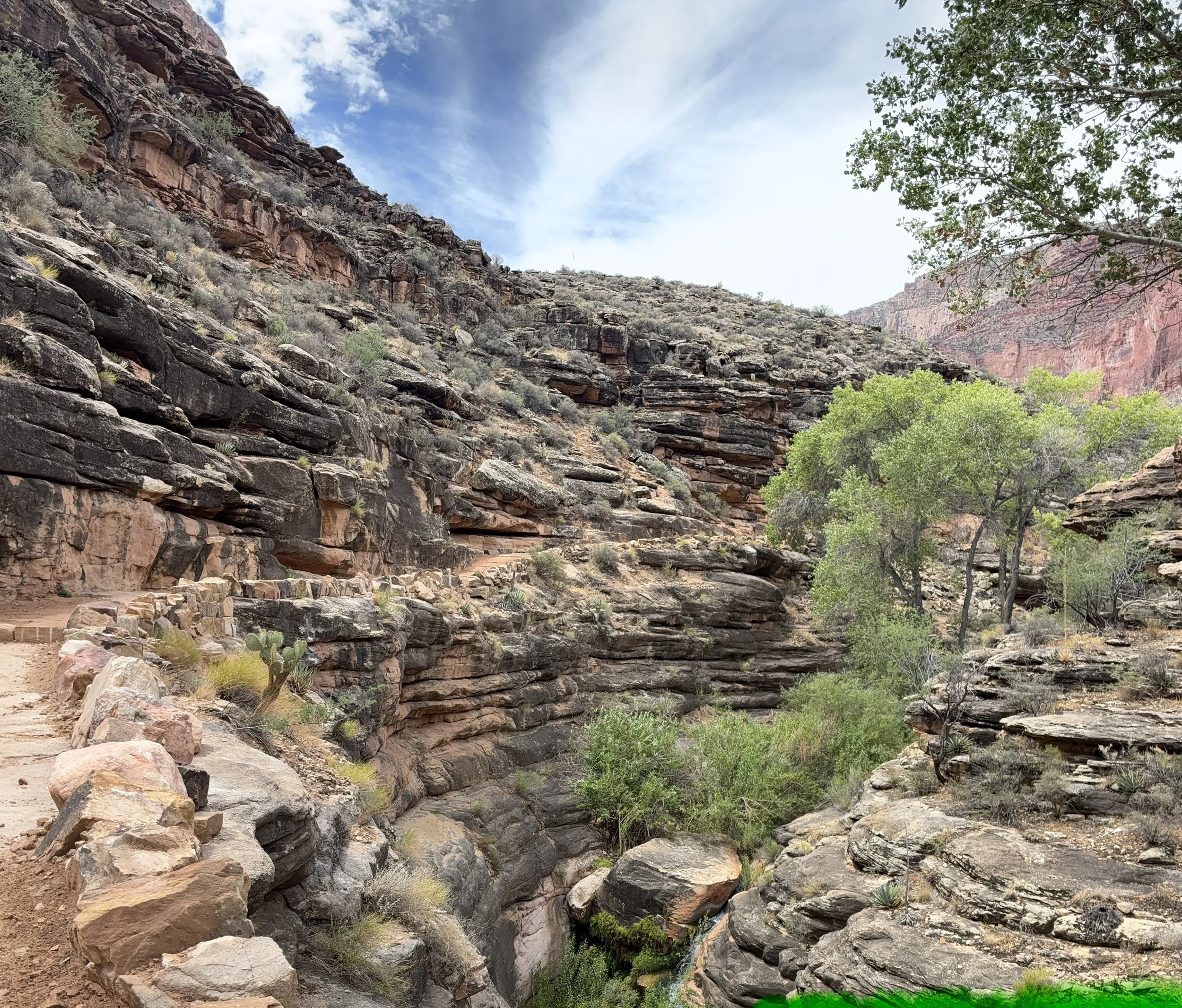 Training to hike the Grand Canyon to the River