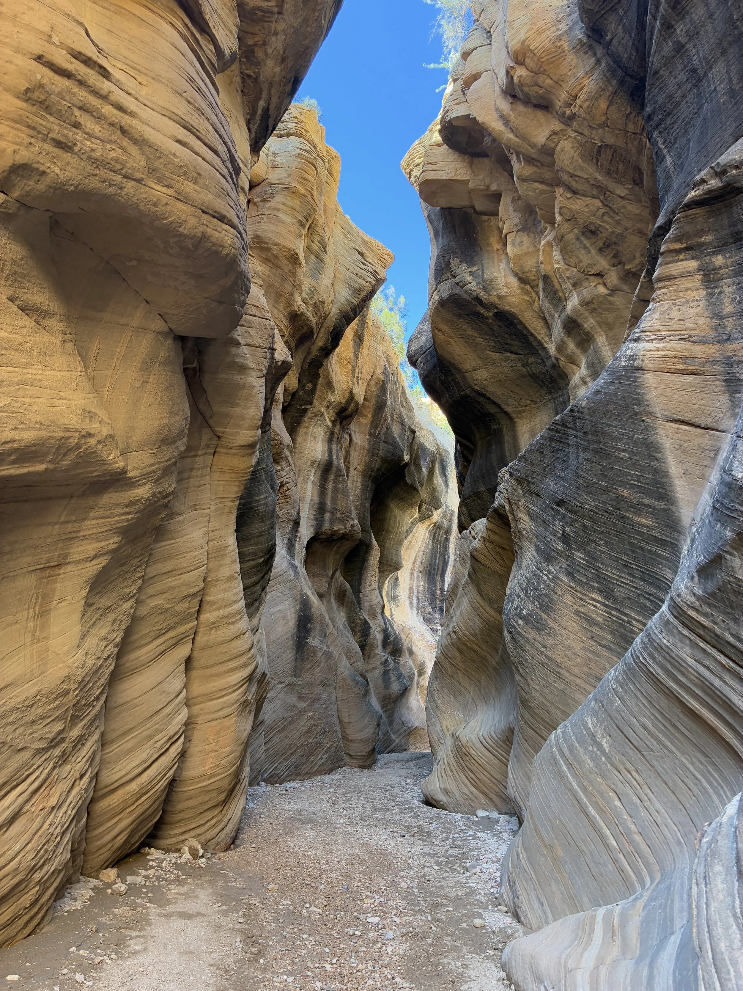 Hiking through Willis Creek Canyon