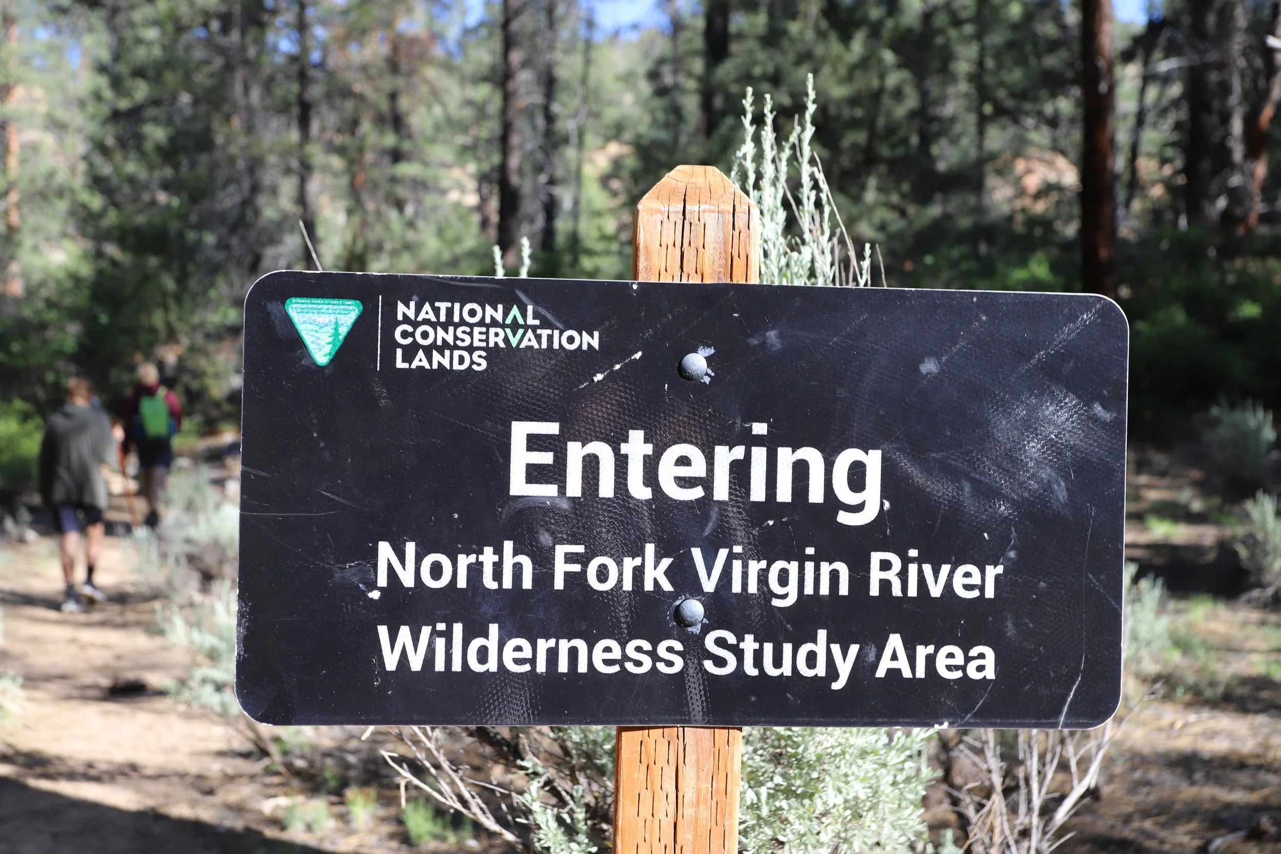 North Fork Virgin River Wilderness Study Area