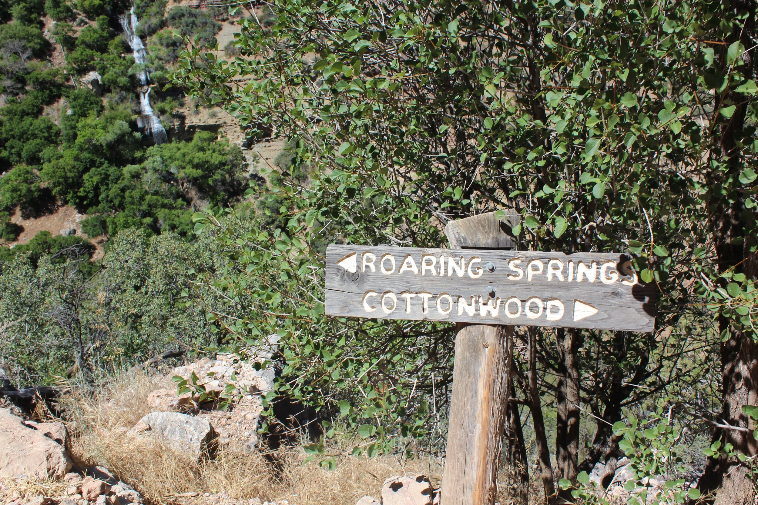 Grand Canyon Roaring Springs