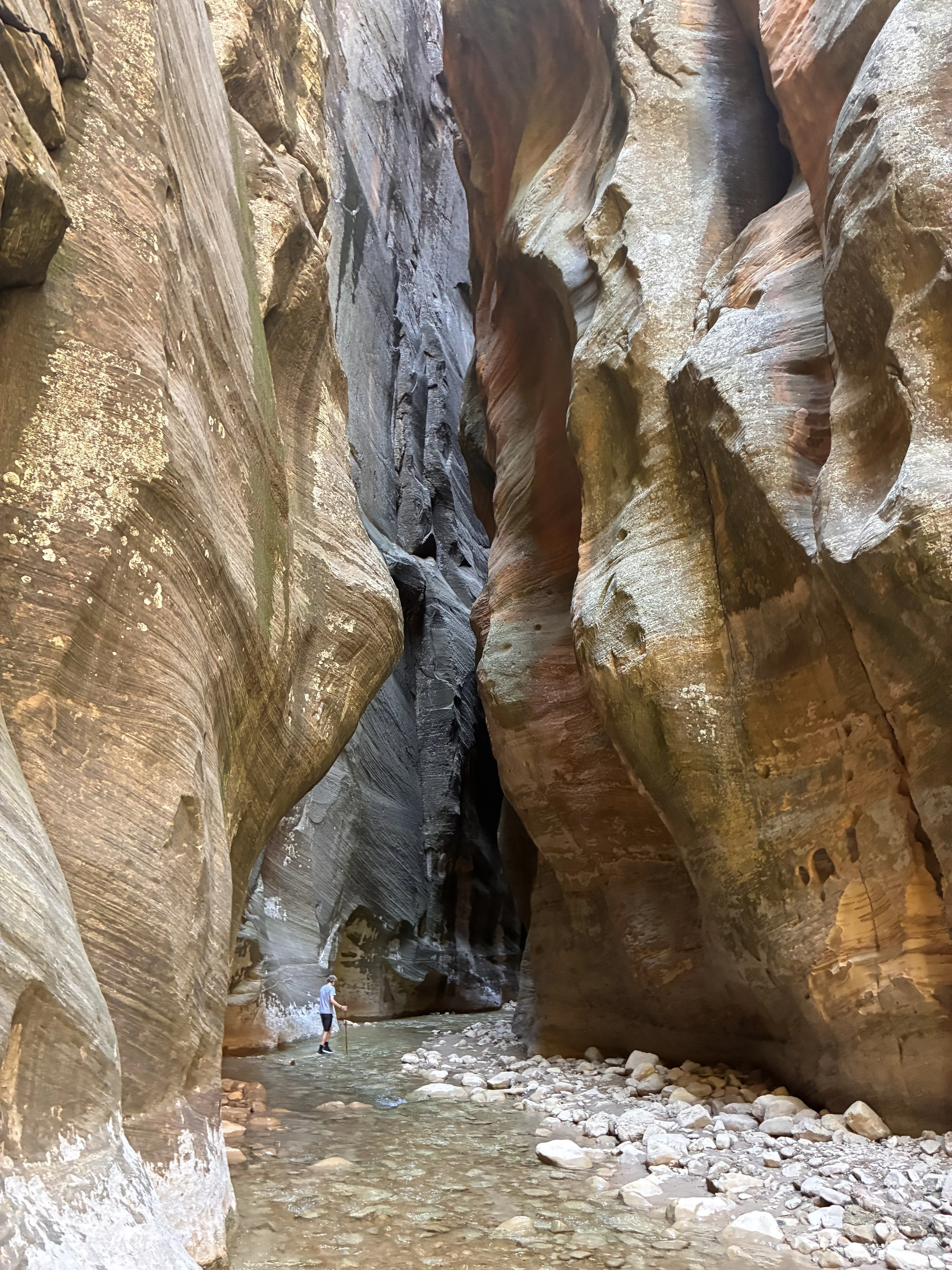 Best part of the Narrows hike in Zion