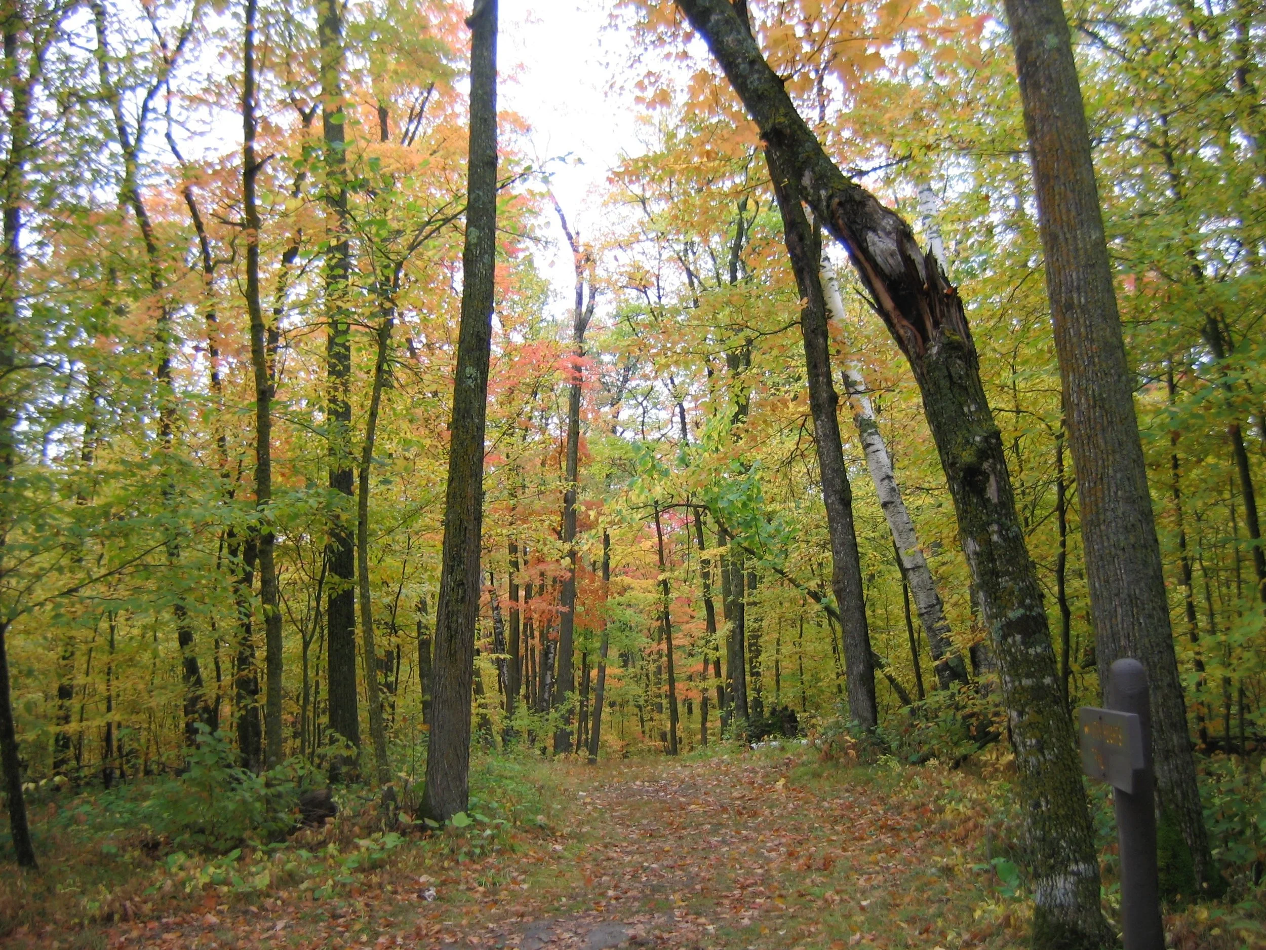 IMG_3687.jpg