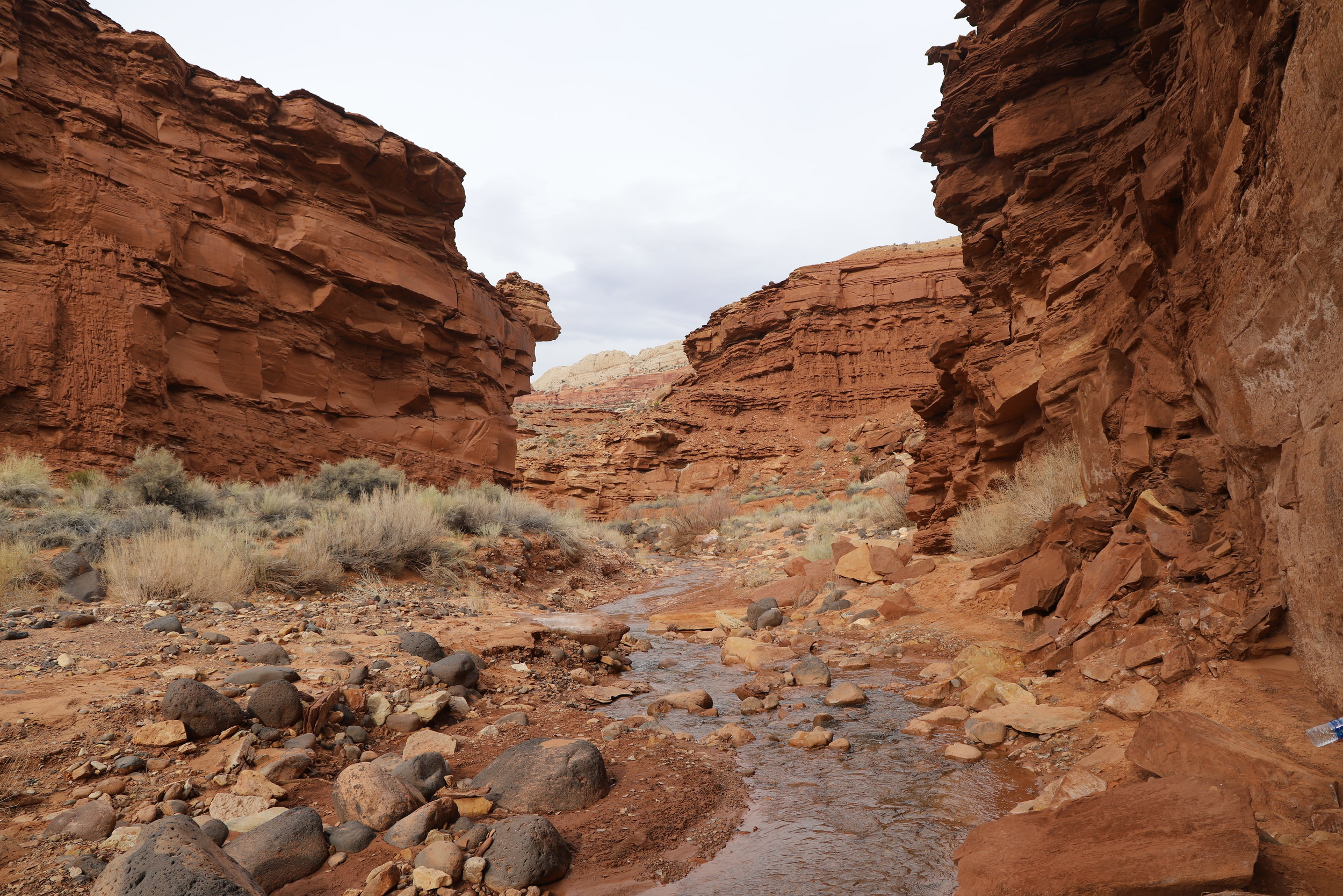Hiking Capitol Reef National Kids — Nature Impacts Us