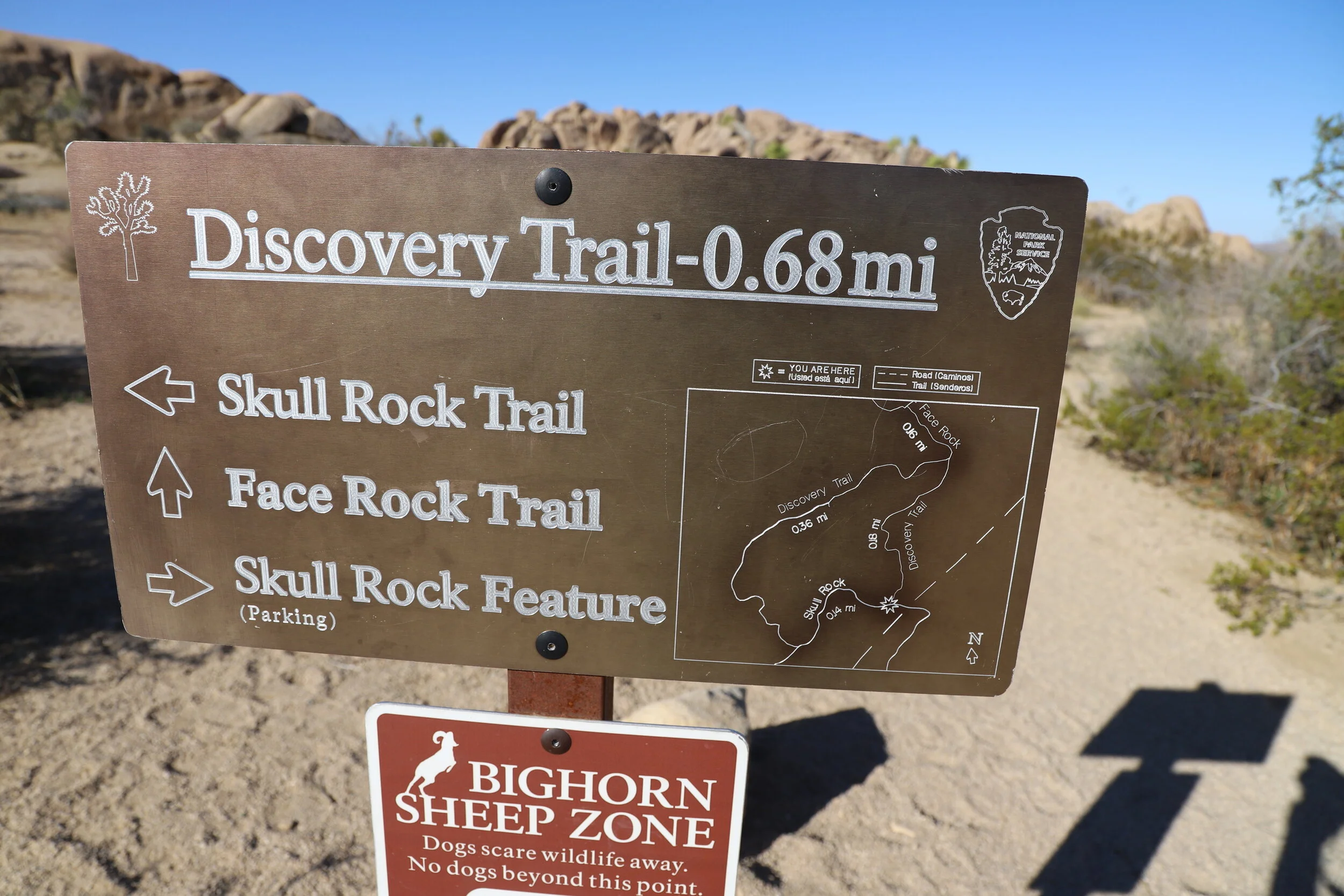A Day in Joshua Tree National Park — Nature Impacts Us