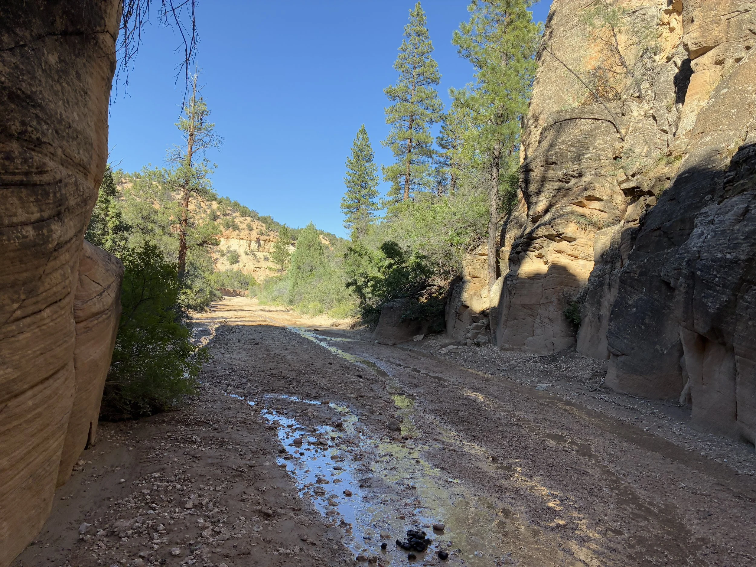 How far should I hike in Willis Creek Slot Canyon?