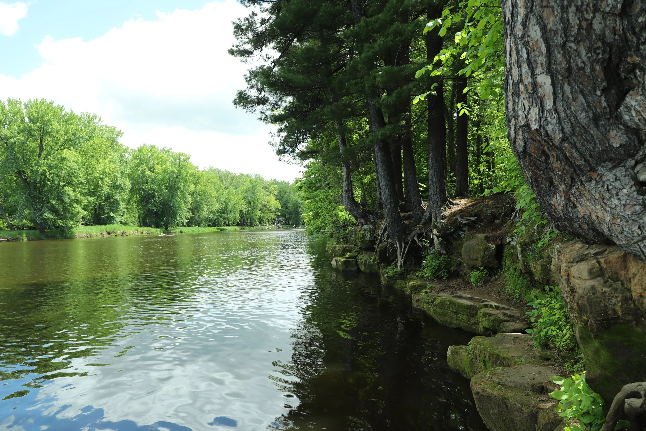 William O'Brien State Park Minnesota — Nature Impacts Us