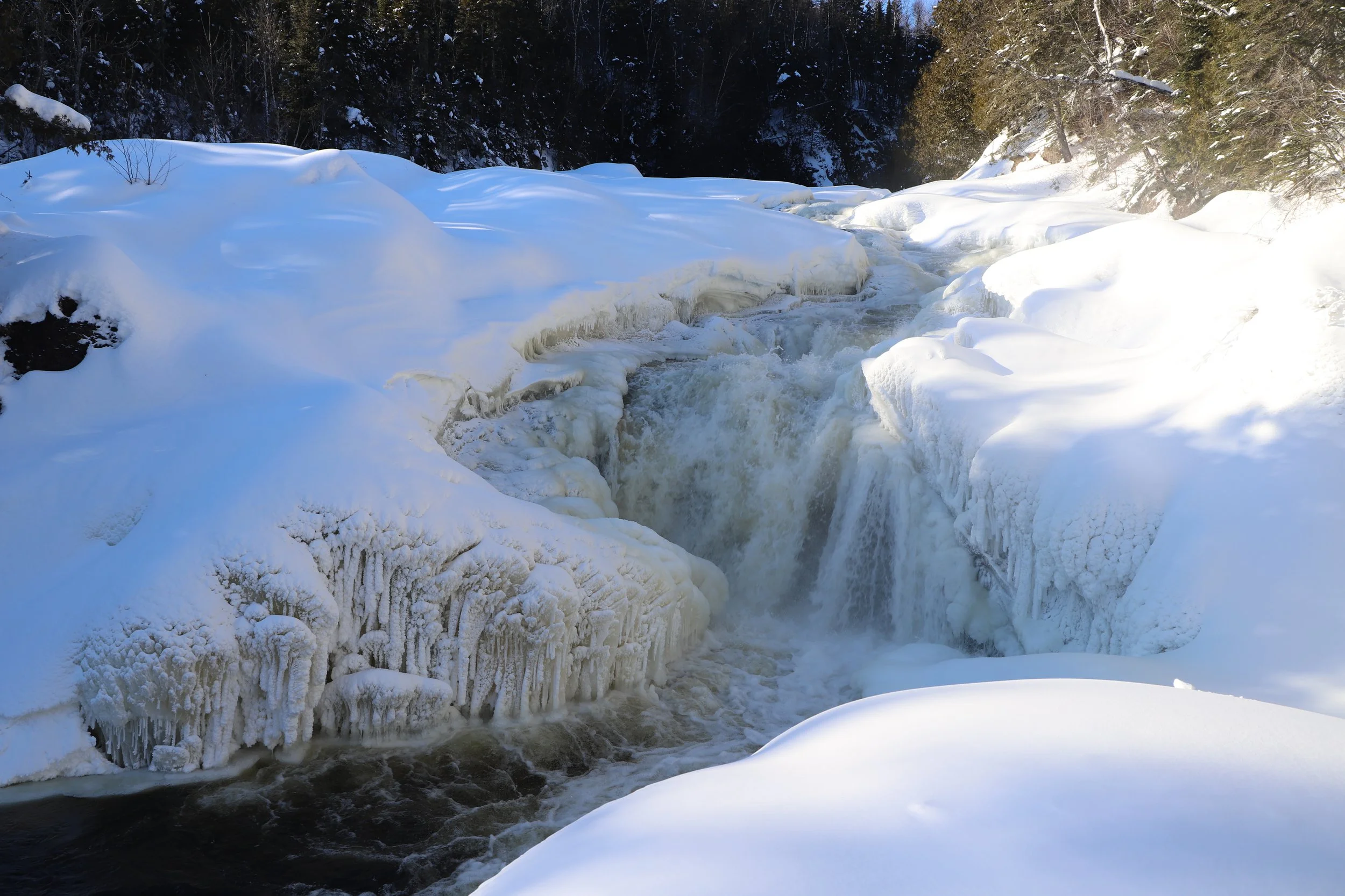 Hiking at Judge CR Magney State Park