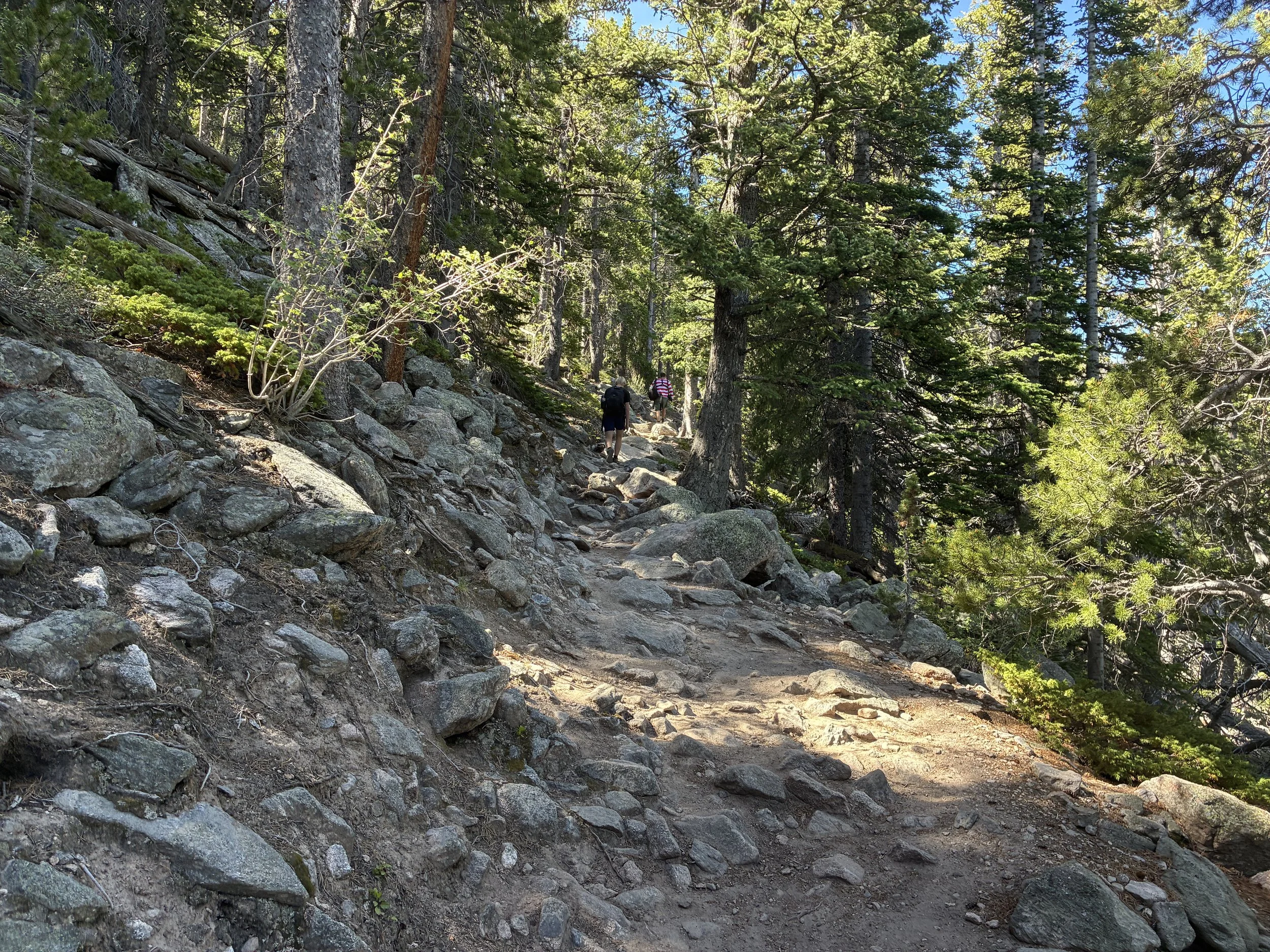 Twin Sisters Trail in Rocky Mountains