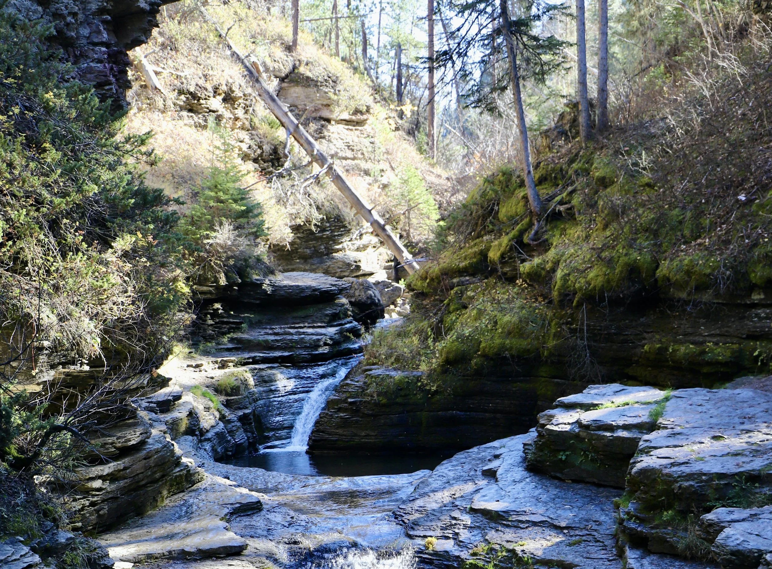 Hiking along Spearfish Canyon