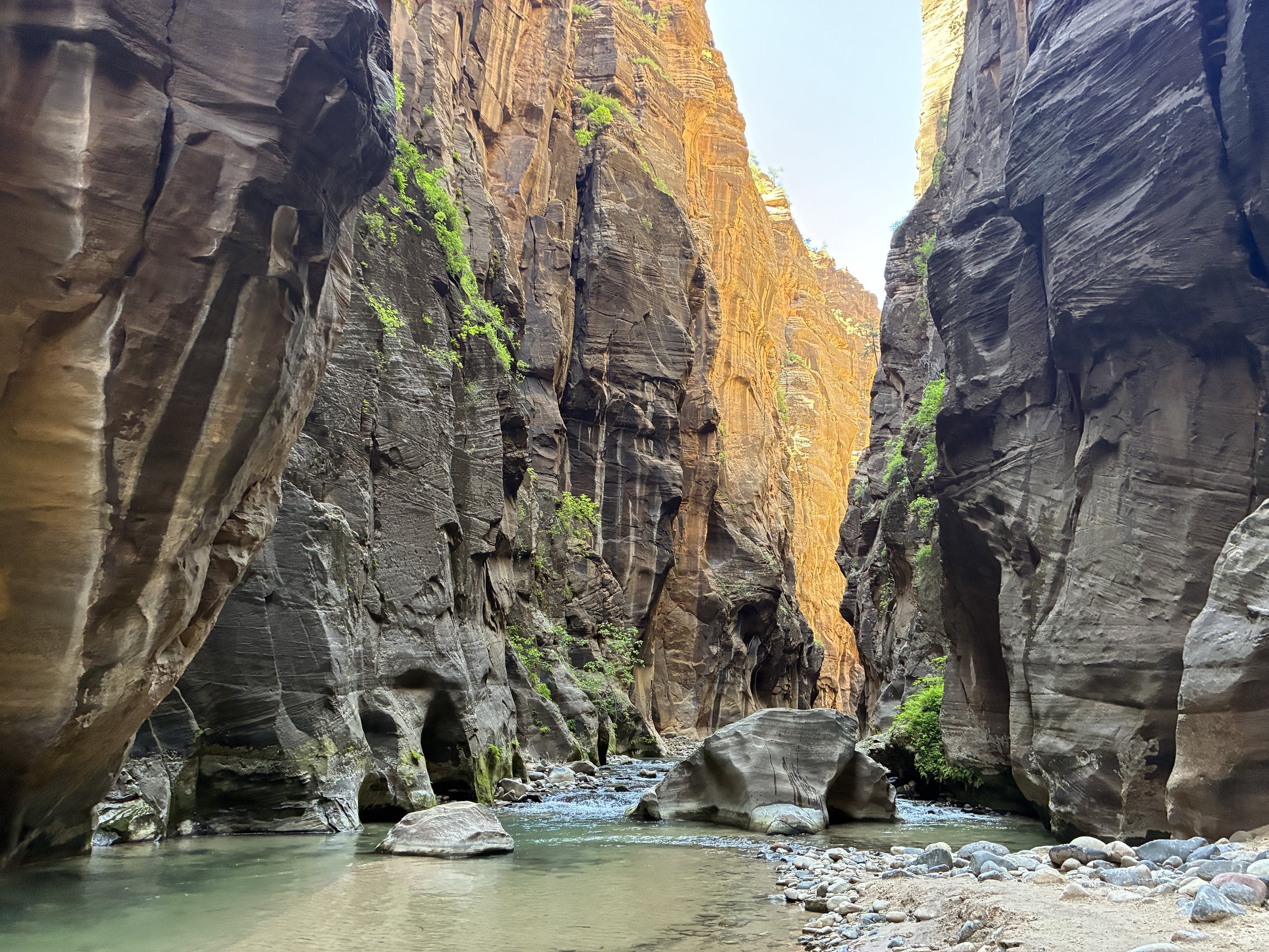 Hiking Zion's Narrows Top-Down Trail in 100 Photos