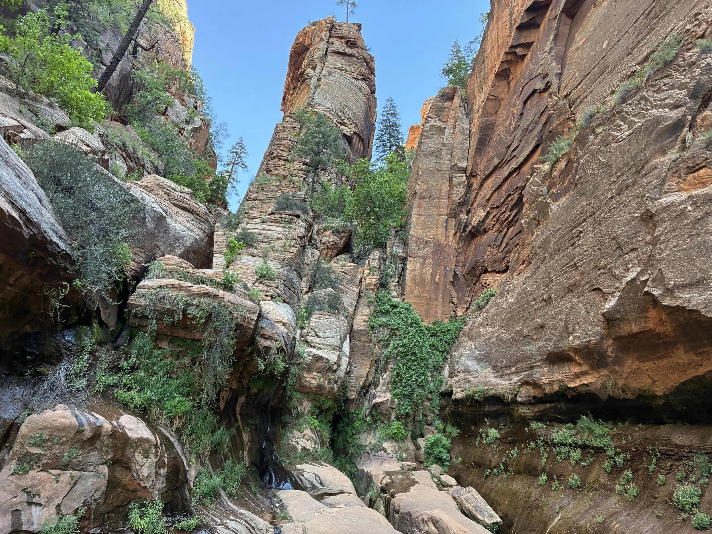 Hiking Water Canyon (near Zion National Park)