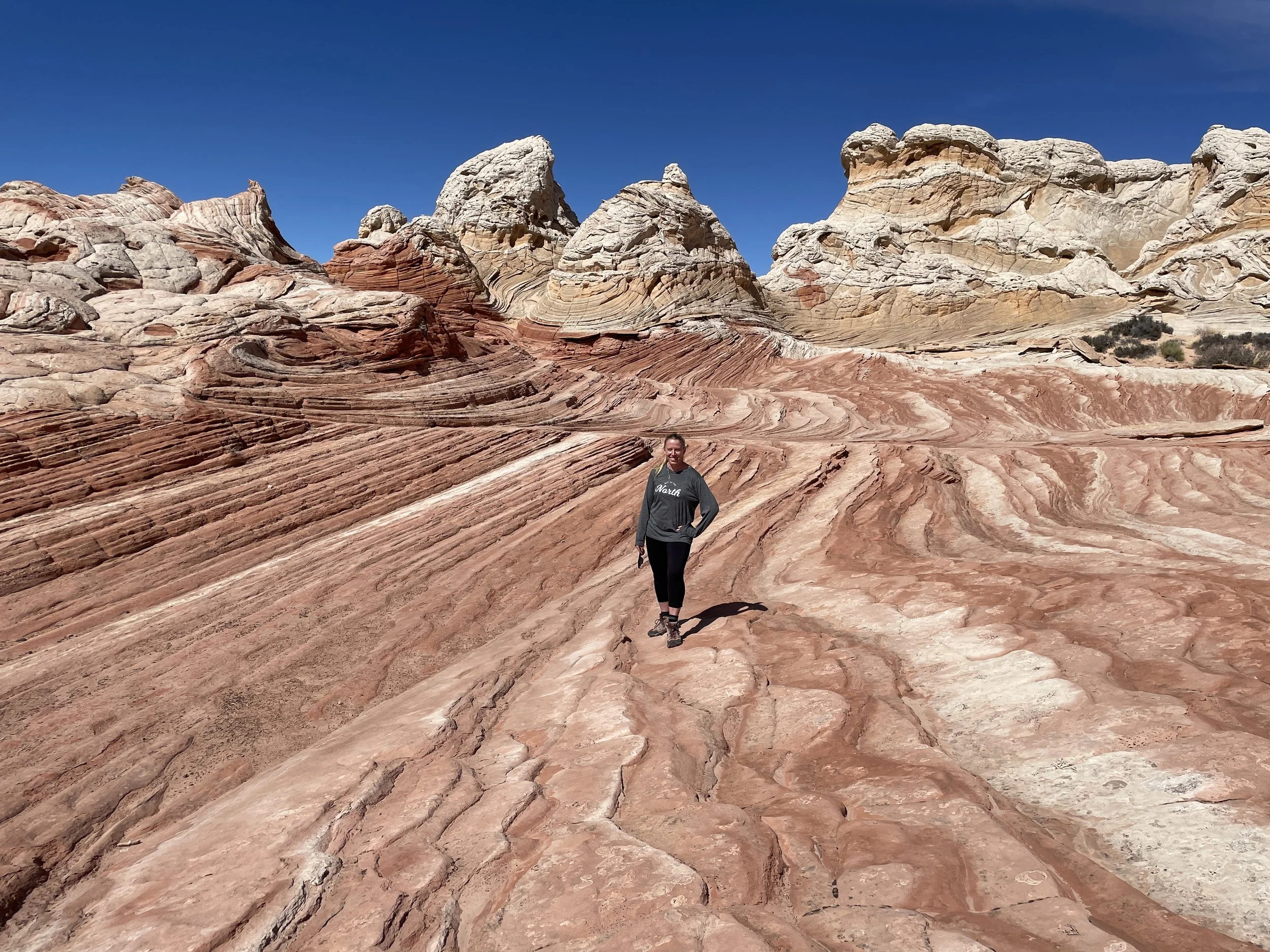 Finding White Pocket - Vermilion Cliffs National Monument