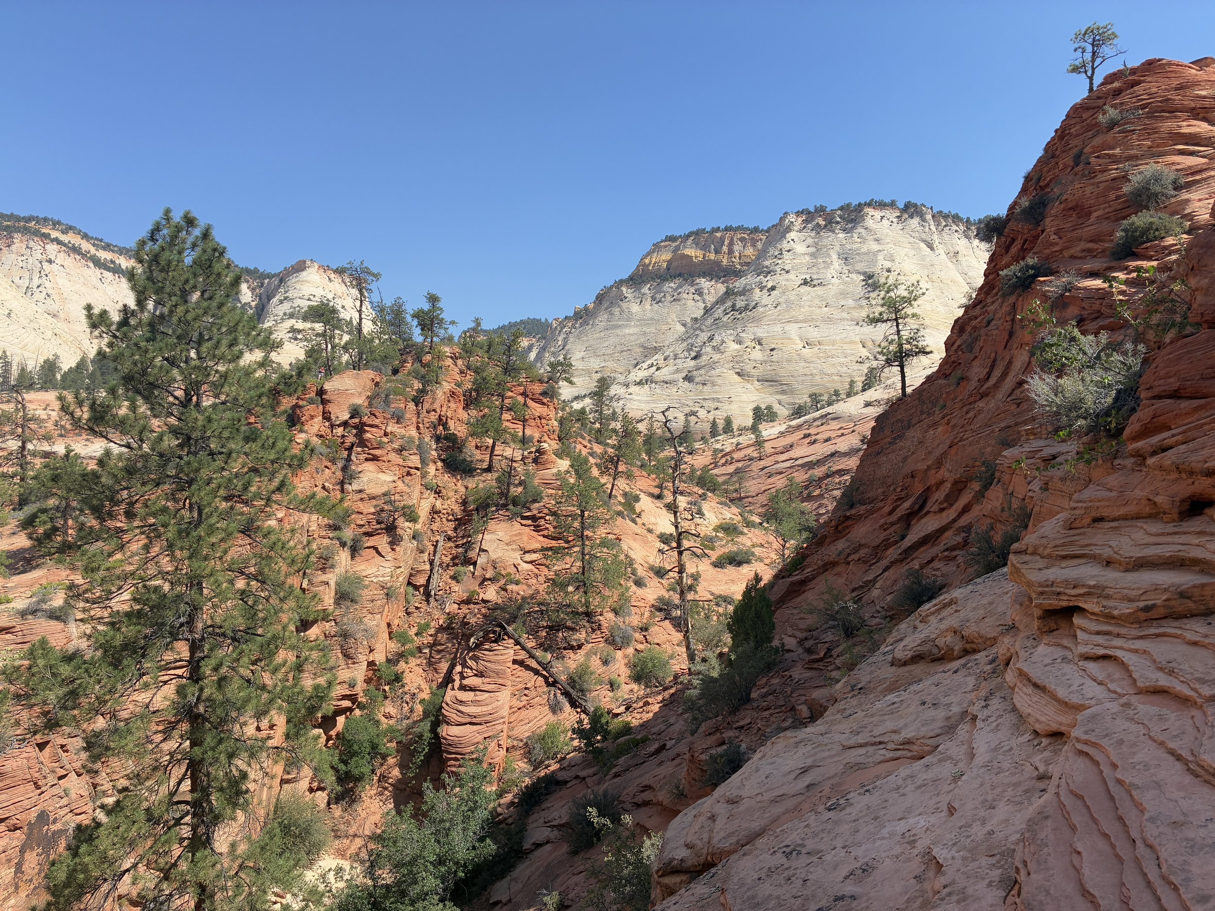 Best Things to Do Near Kanab, Utah (in Addition to Zion)