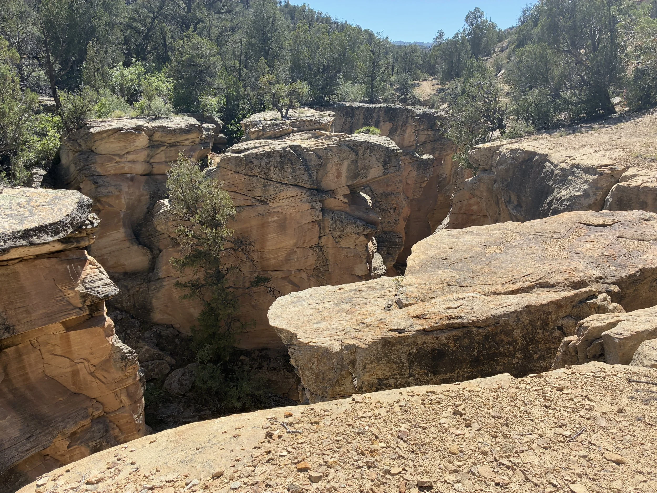 Bull Valley Gorge - Grand Staircase-Escalante National Monument