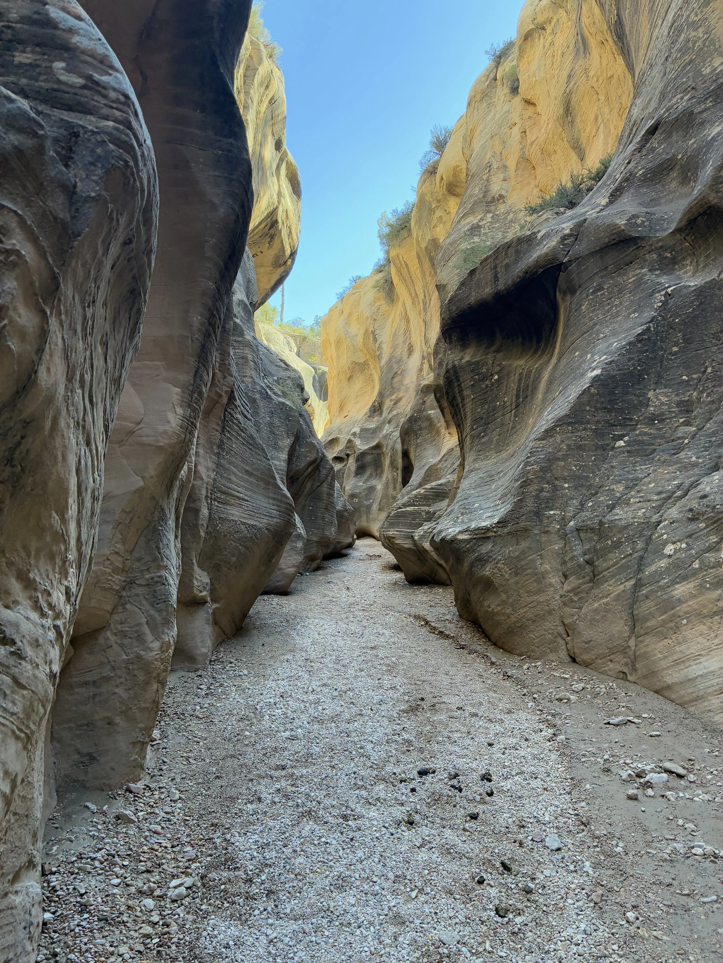 What type of vehicle is needed to get to Willis Creek Slot Canyon?
