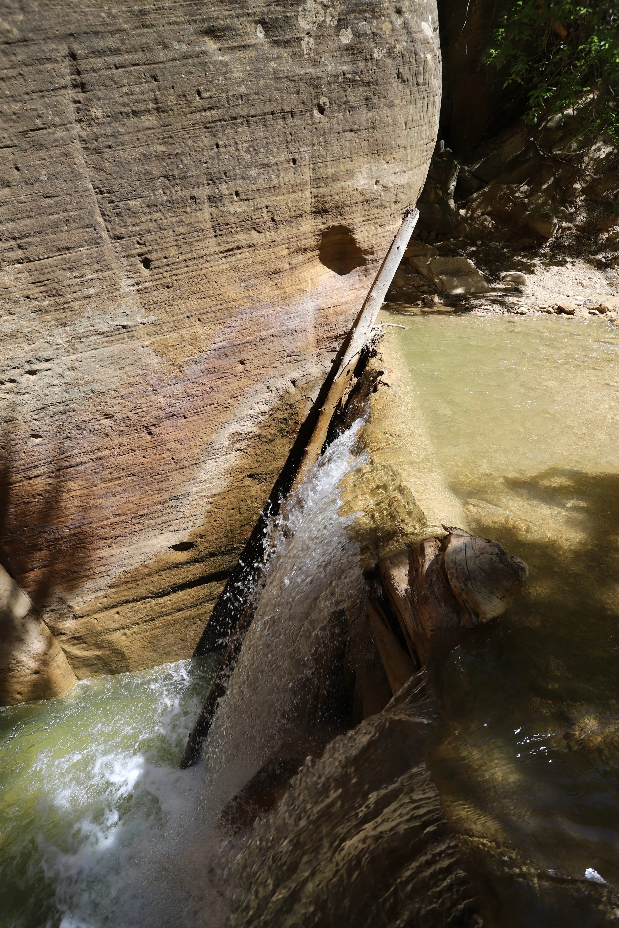 Virgin River Waterfall along the Narrows