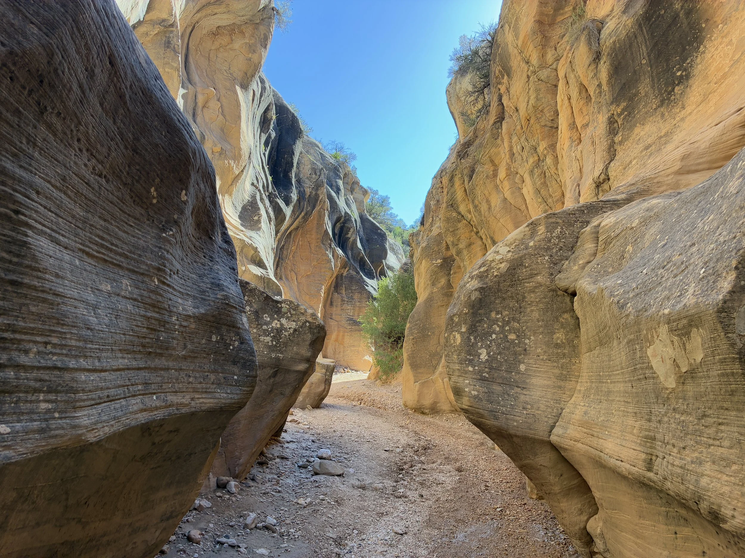 Hikes for young families in Grand Staircase Escalante