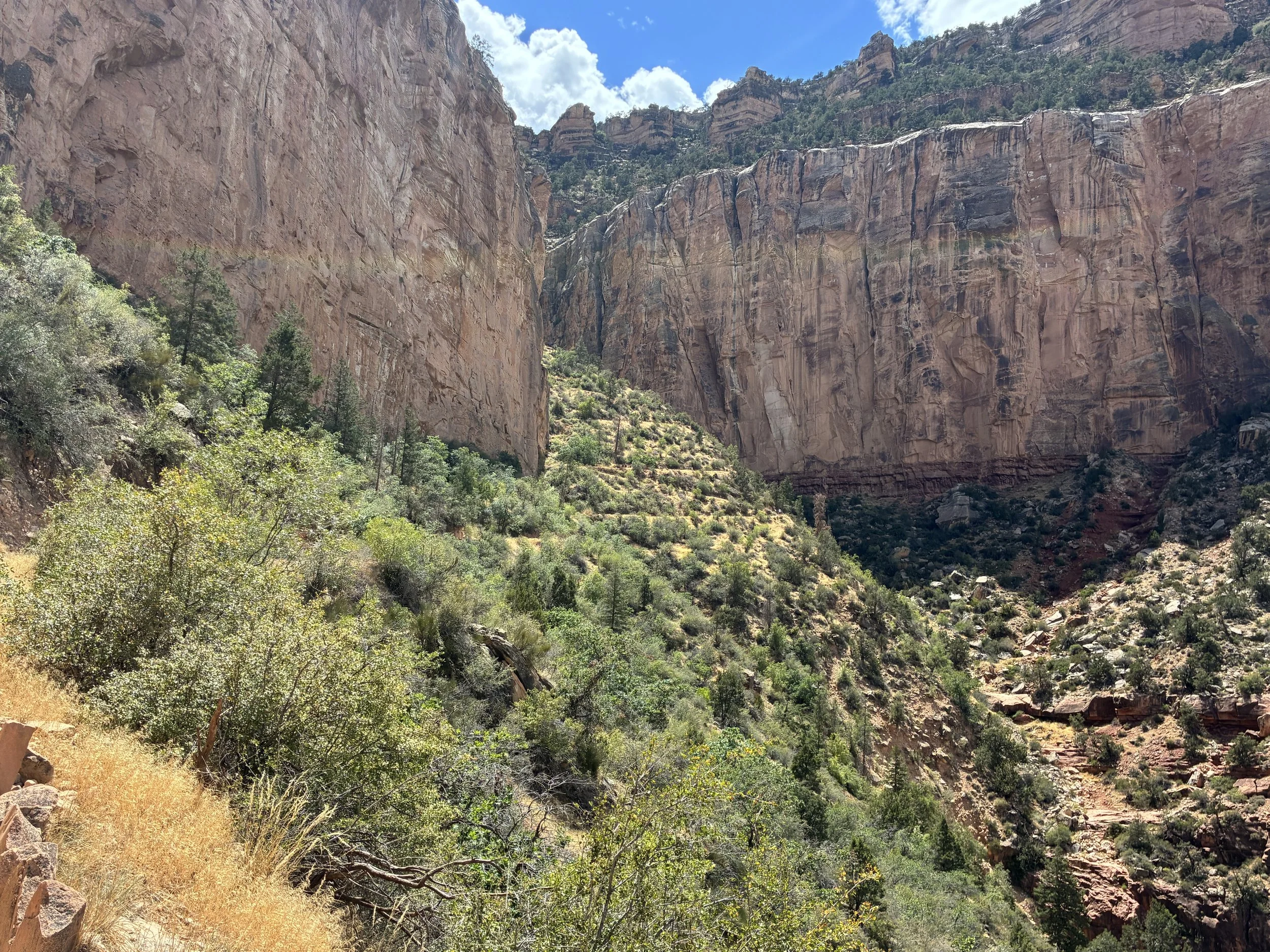 Is there water on the Bright Angel Trail?