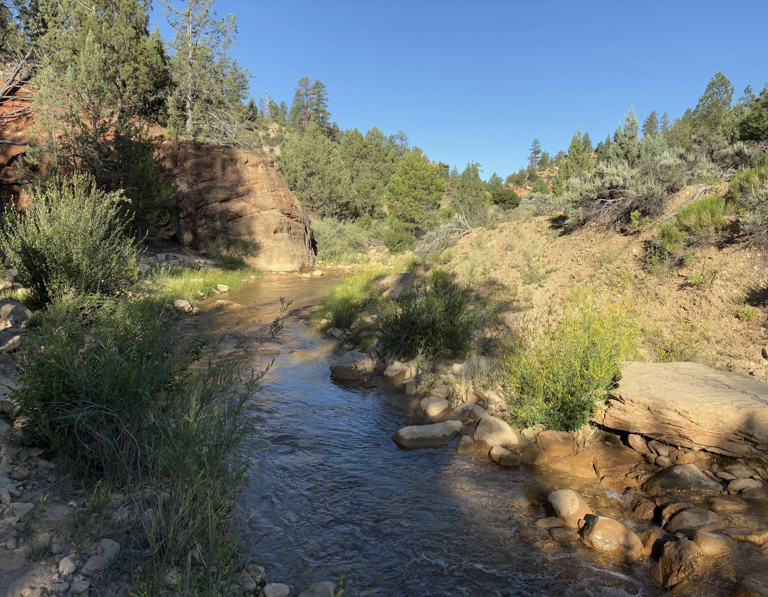 beginning of the Virgin River