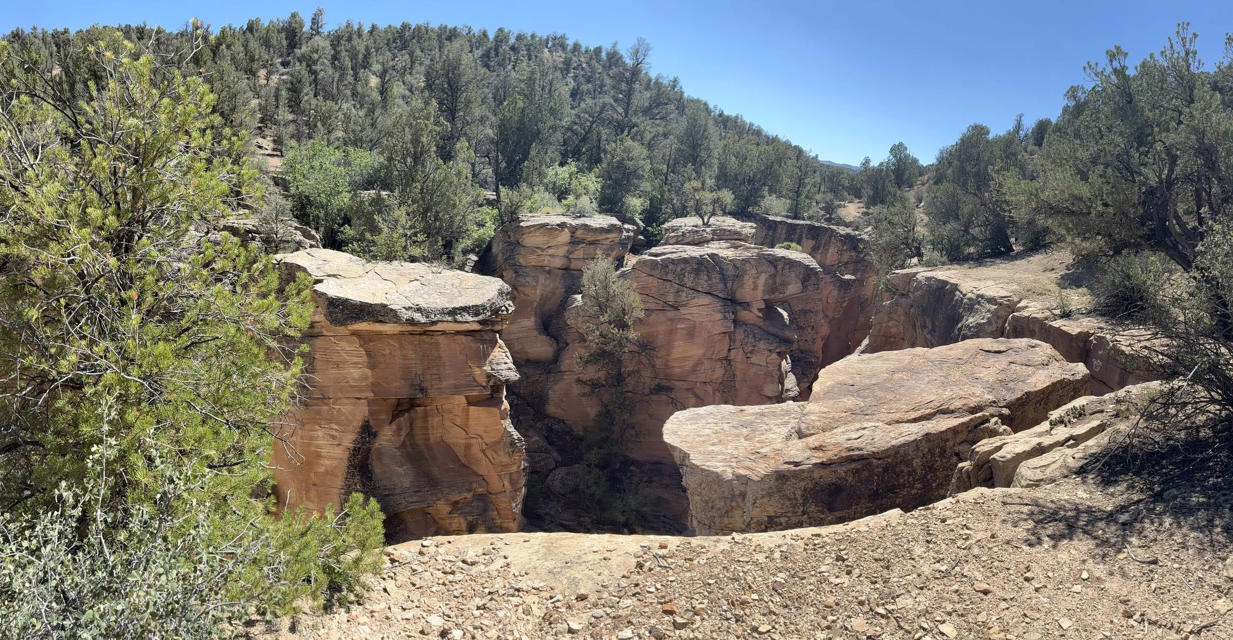 Top of Bull Valley Gorge
