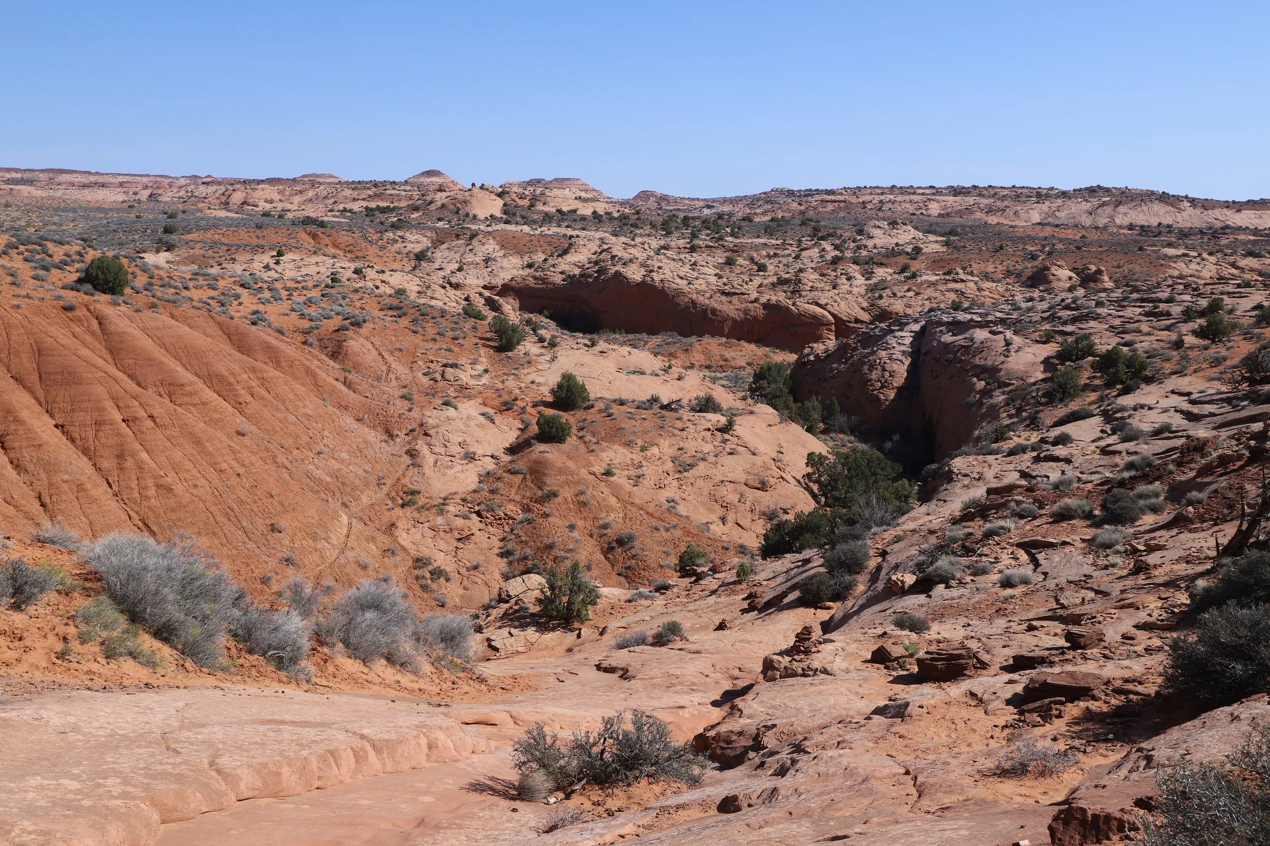 Upper or Lower Dry Forks Trailhead?
