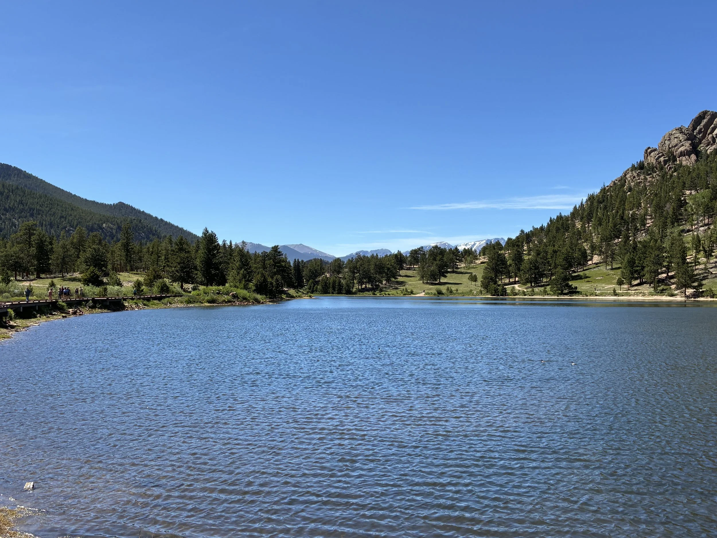 Lily Lake Rocky Mountains