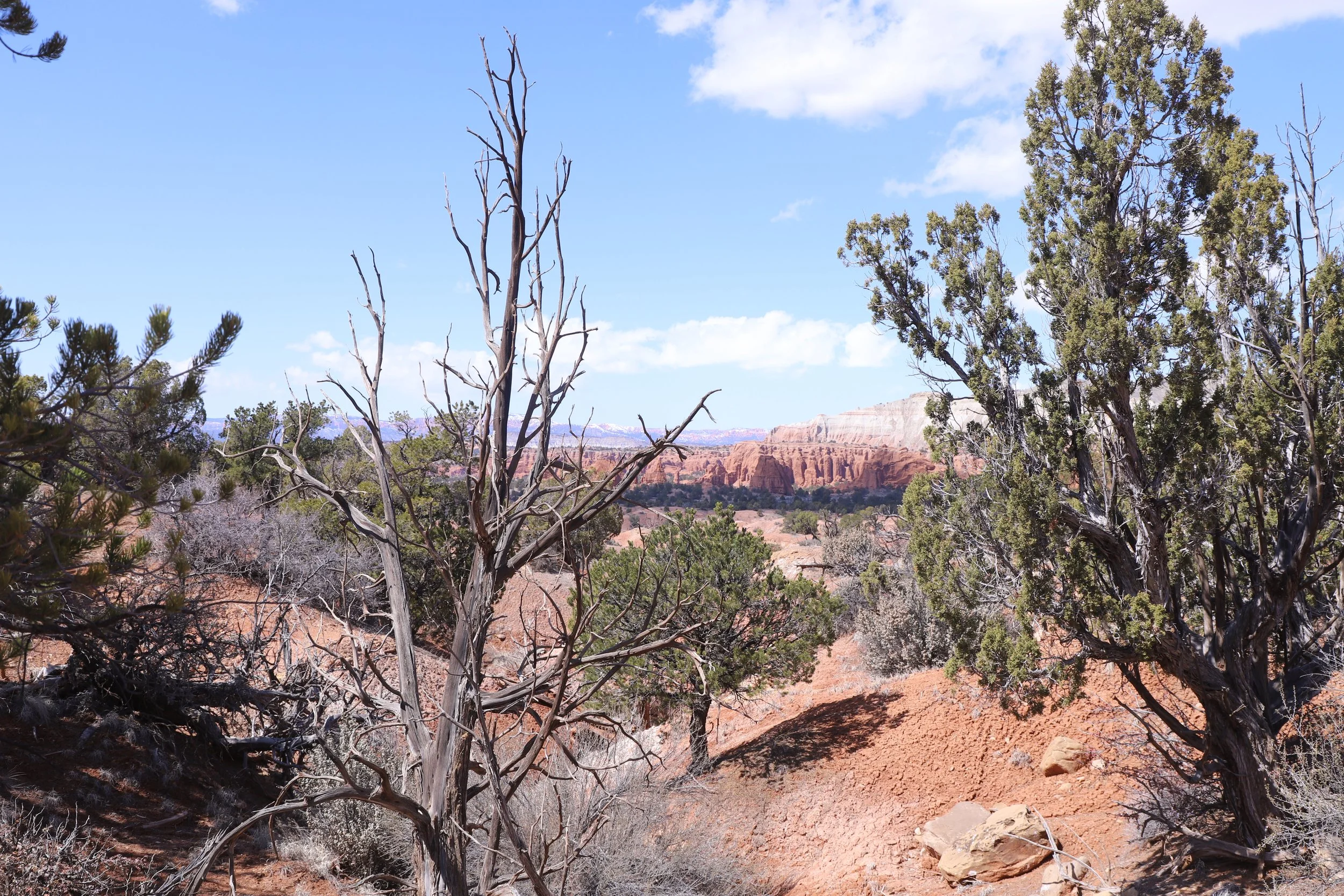 Is it worth it to visit Kodachrome?