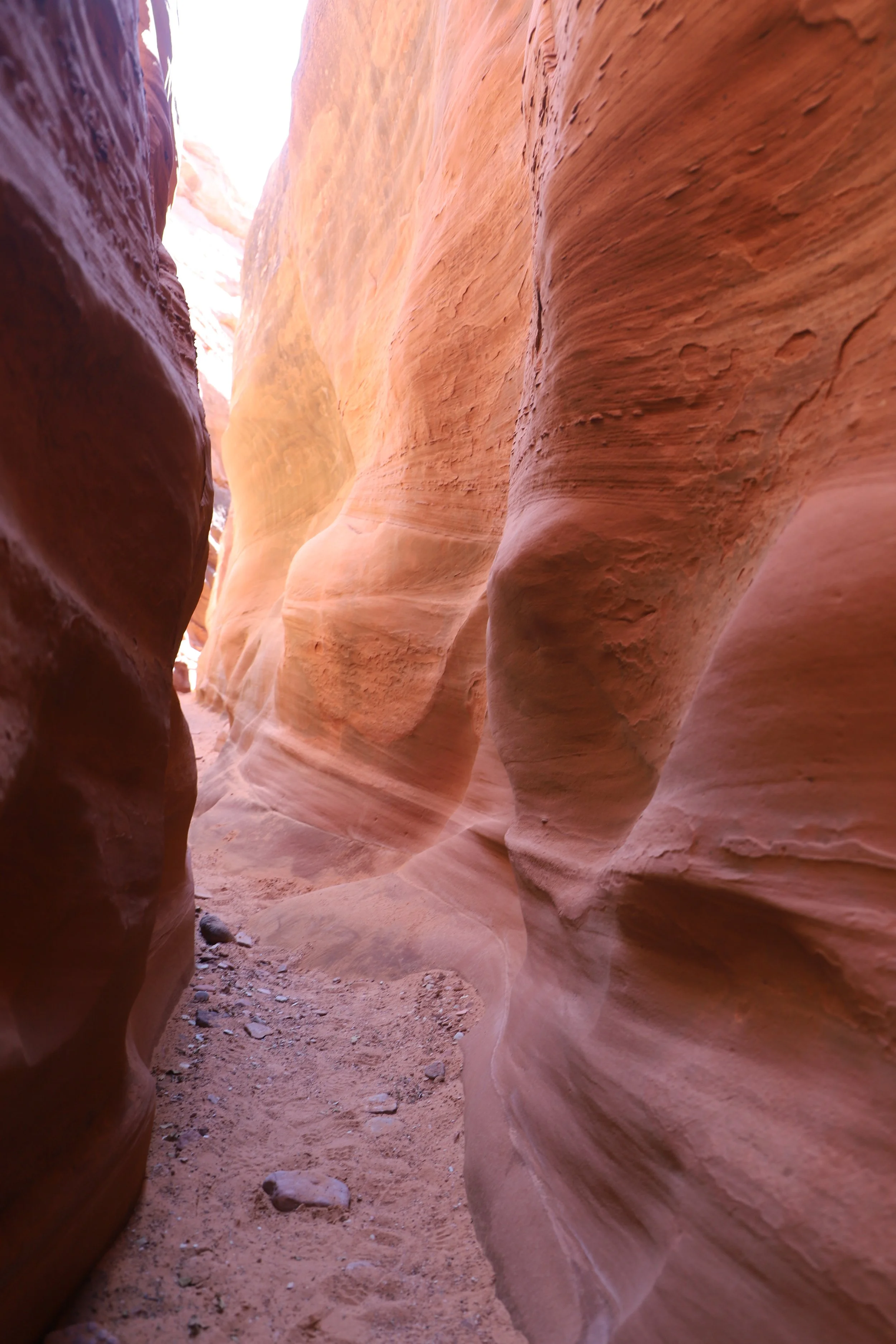Can you hike Spooky Gulch as an out and back?