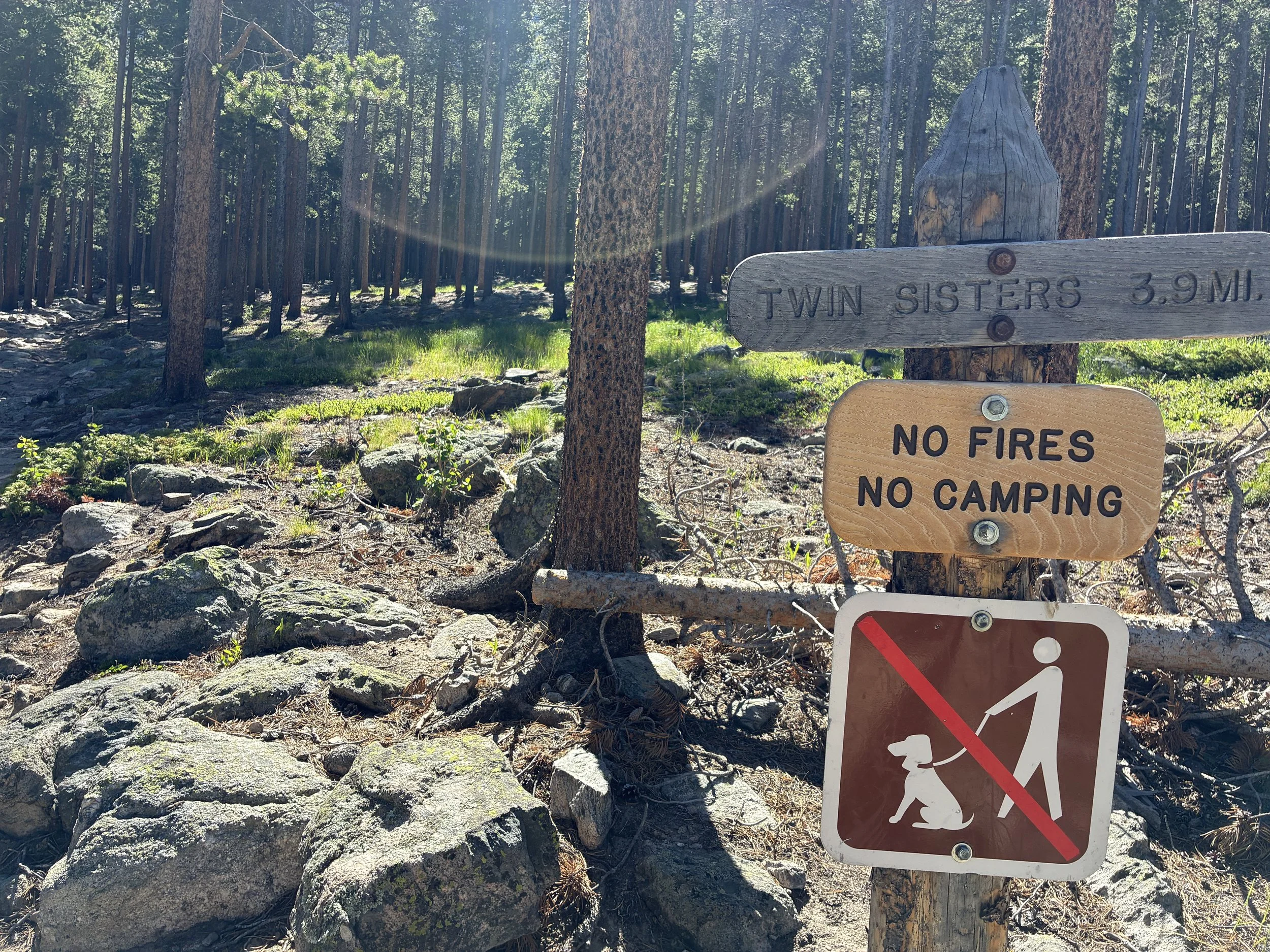 Twin Sisters Trailhead