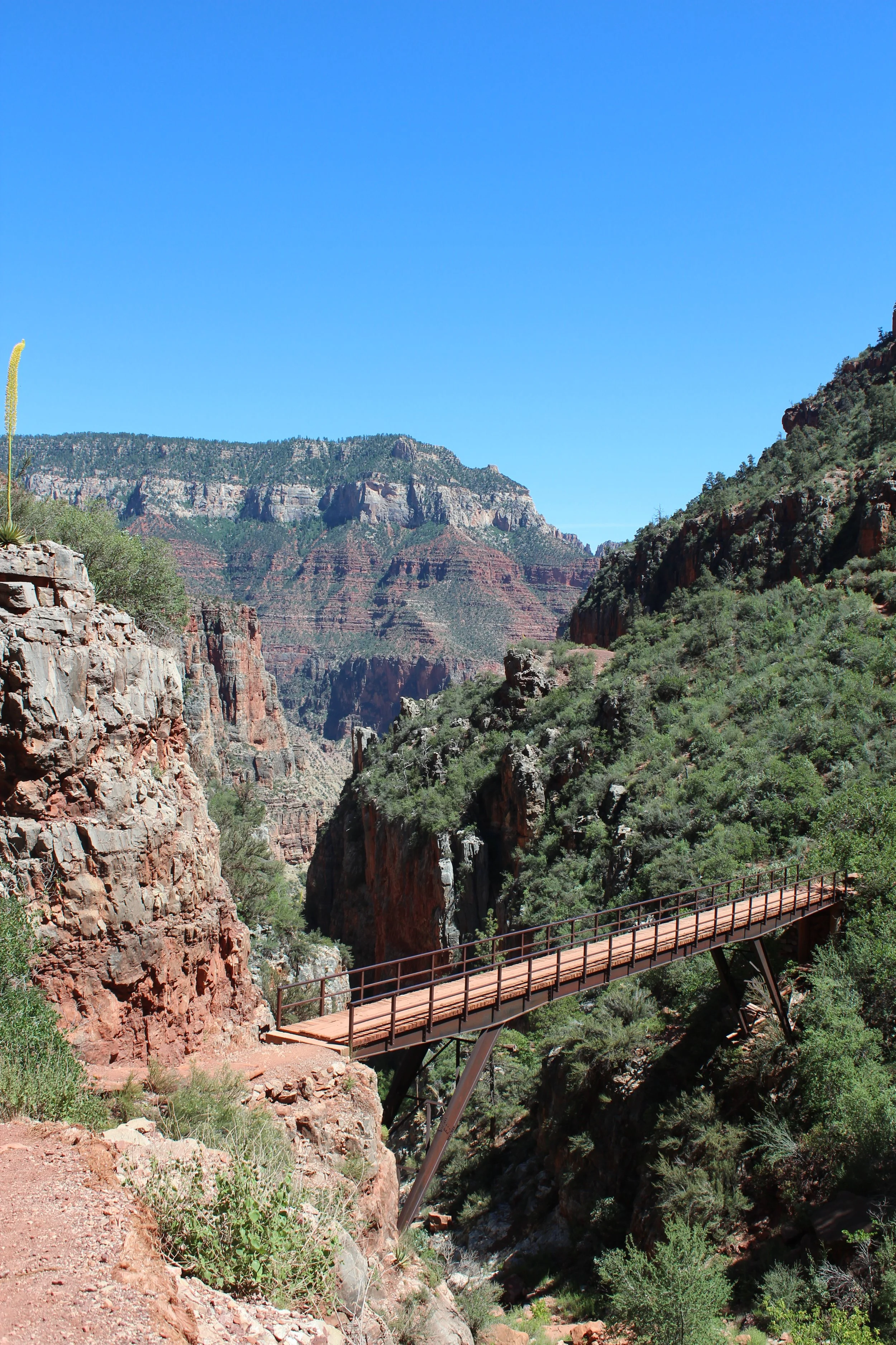 Redwall Bridge - Day Hikes on North Rim Grand Canyon