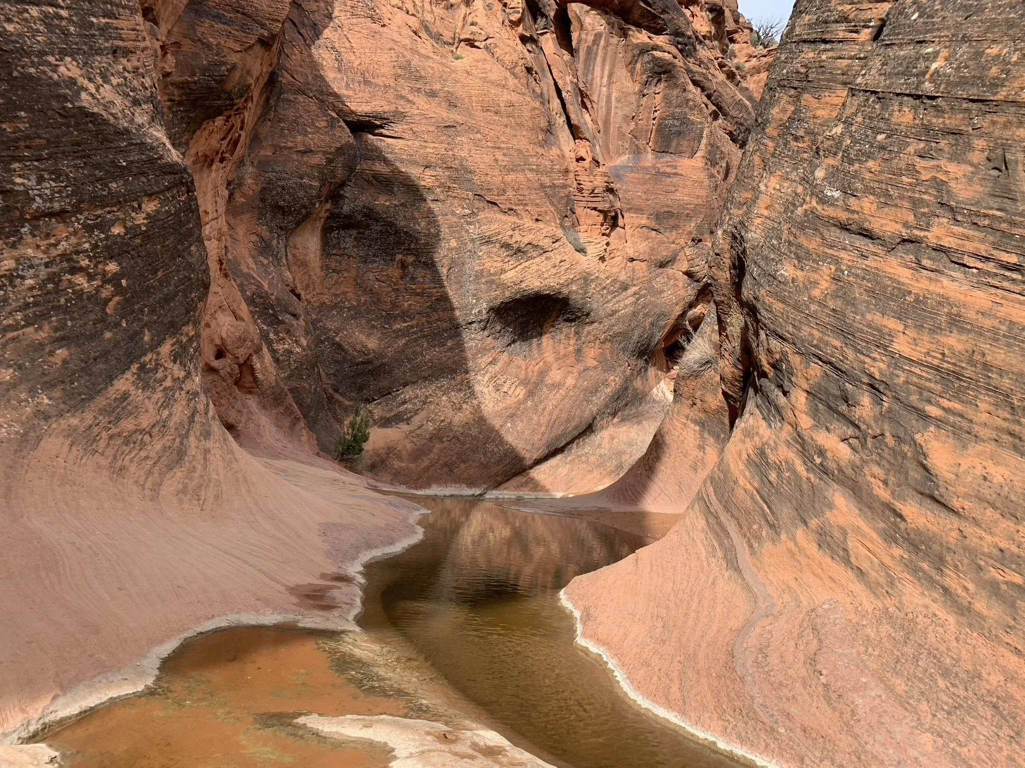 St. George best hikes with kids