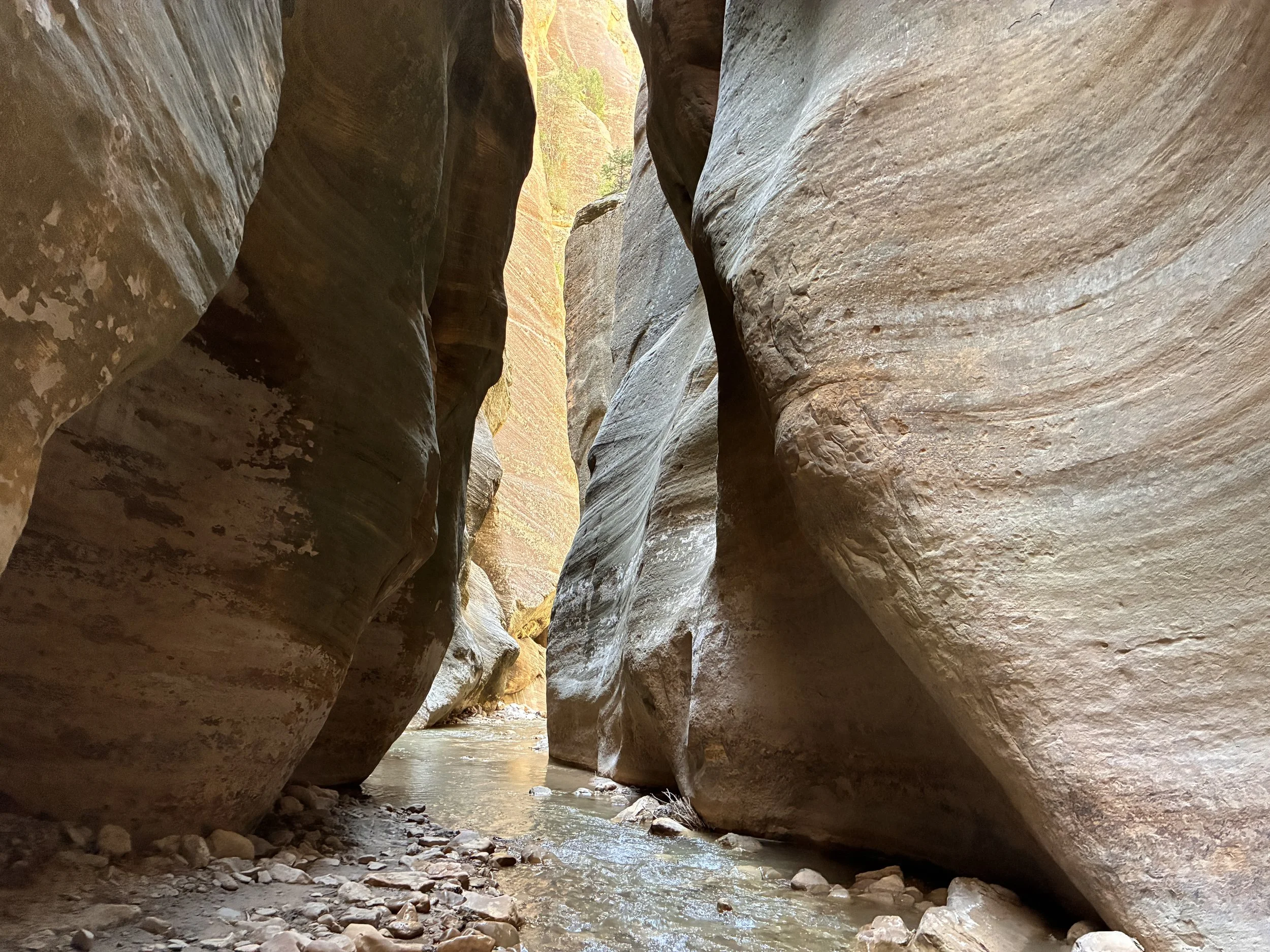best hike in Zion National Park