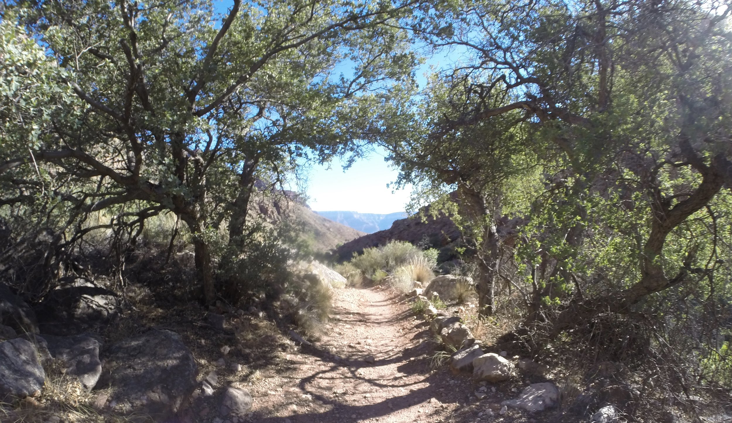 North Kaibab Trail upstream of Cottonwood Campground