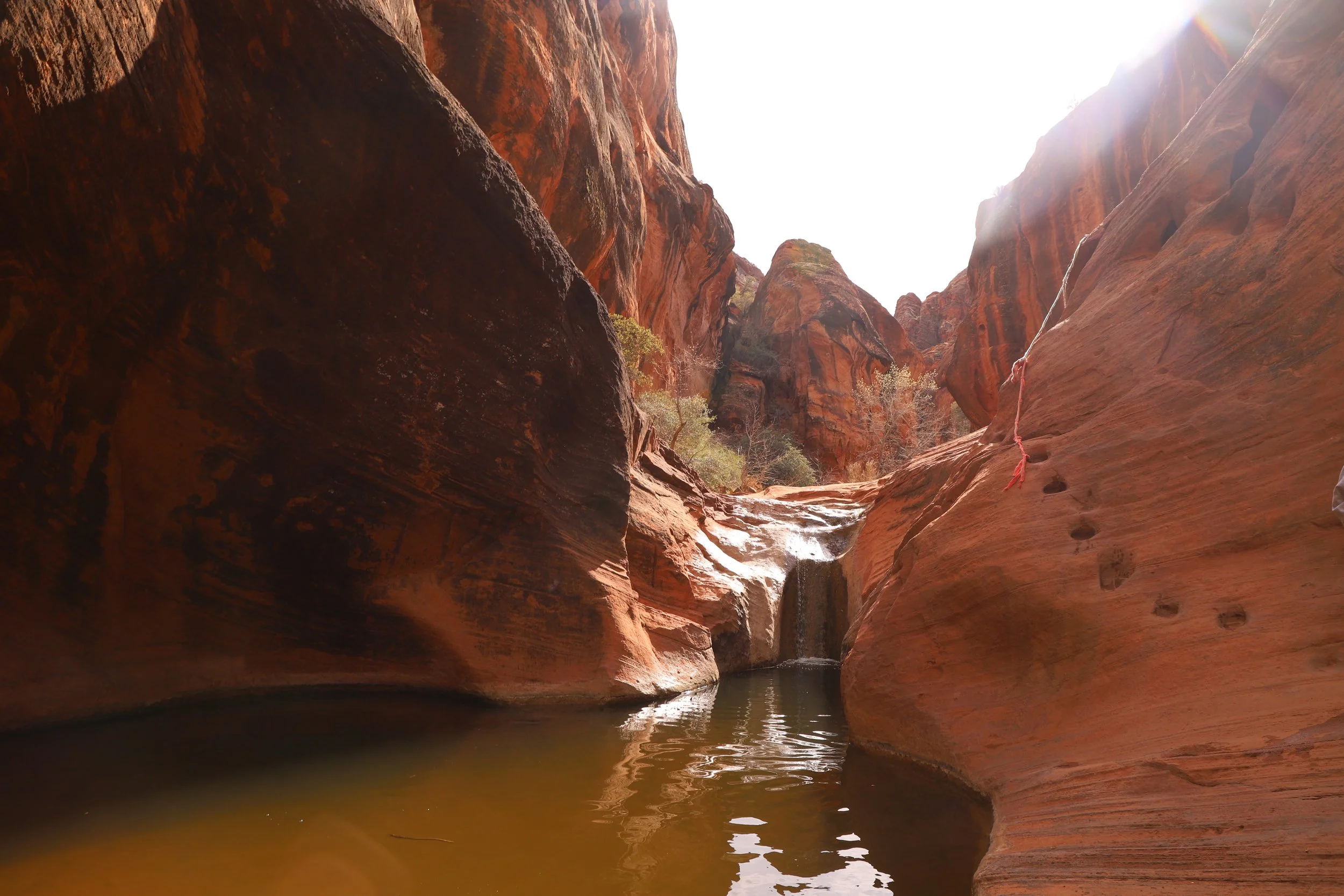 Summer hikes in St. George