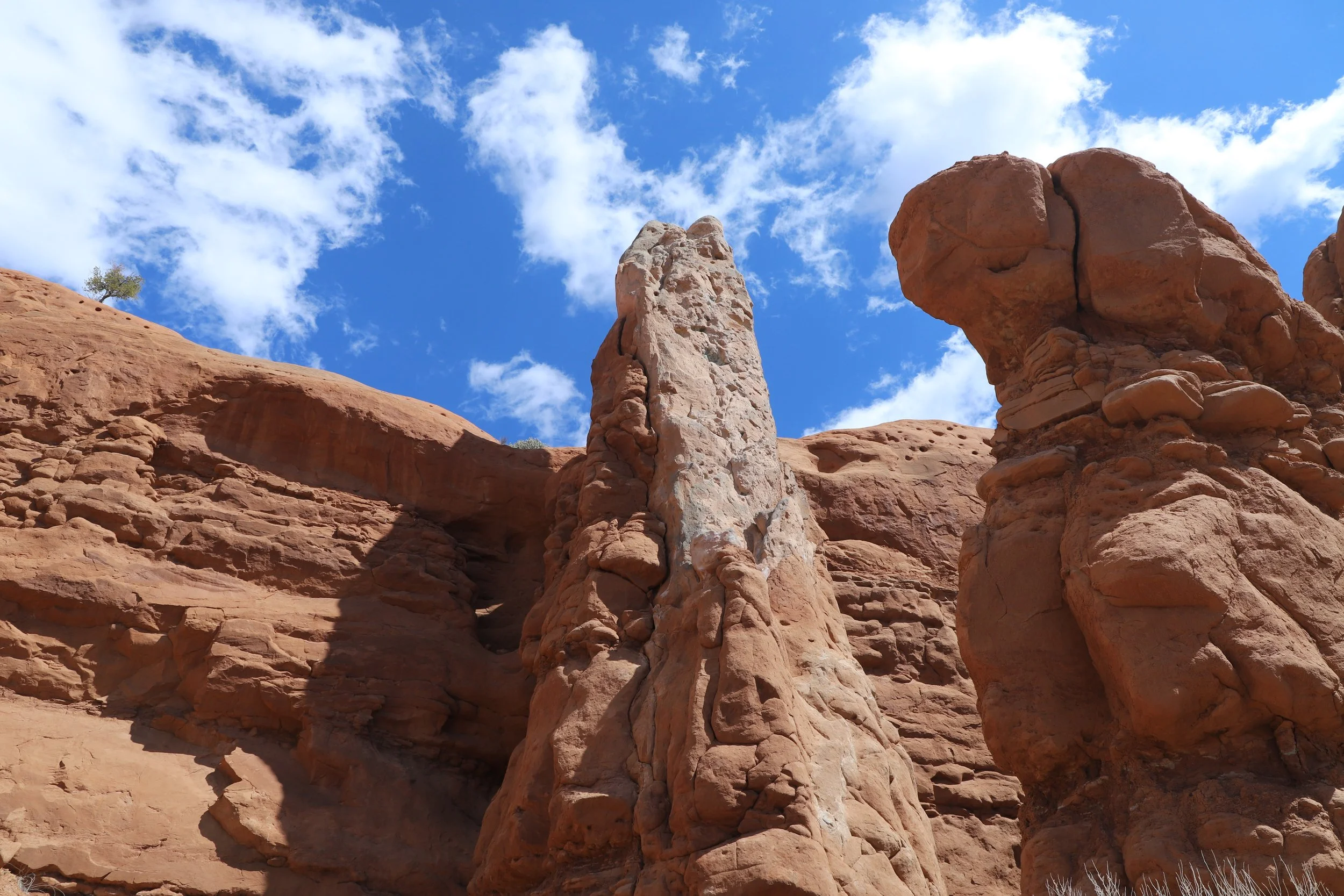 the Sentinel - Kodachrome