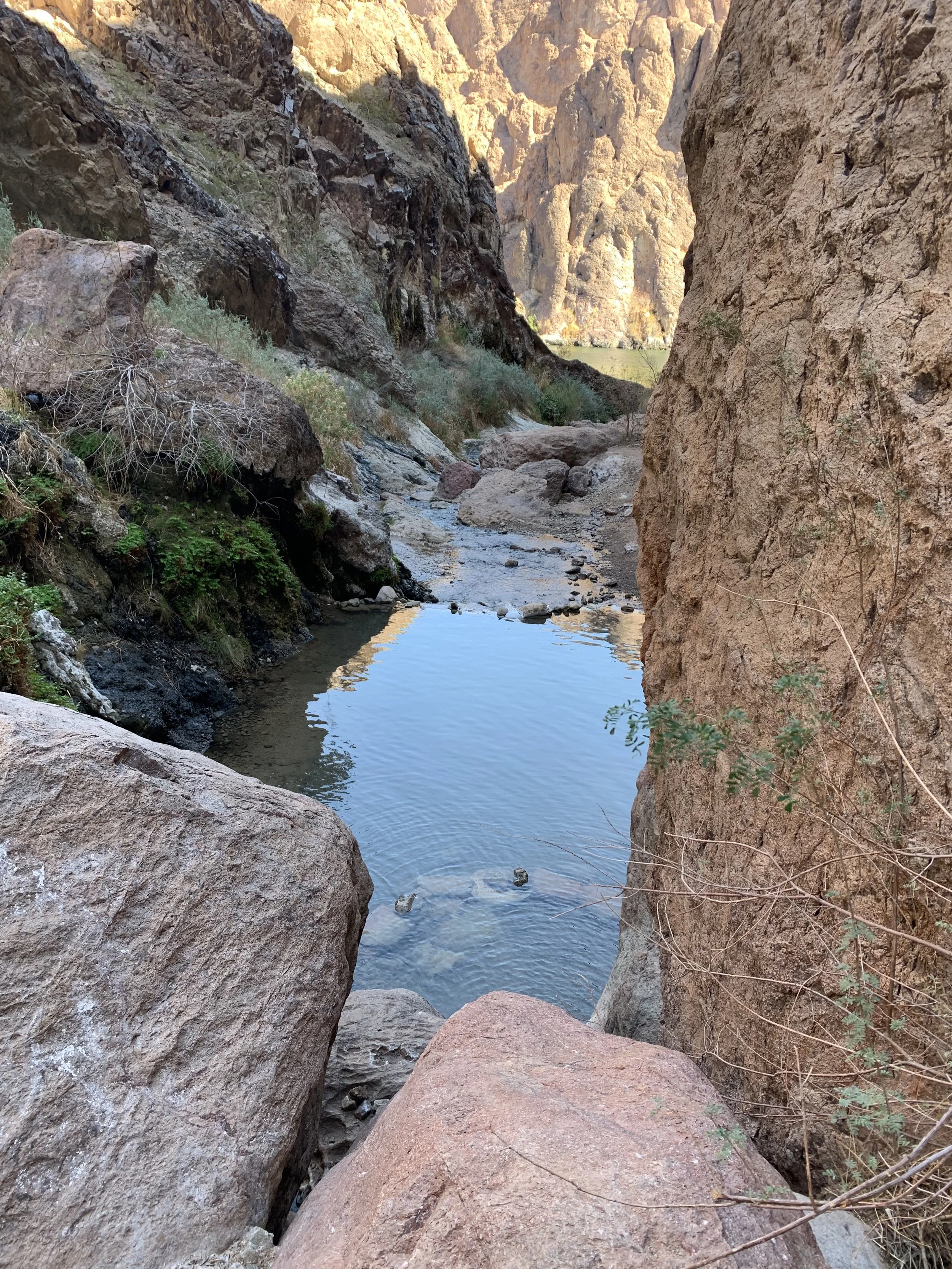 Gold Strike Hot Springs and Colorado River