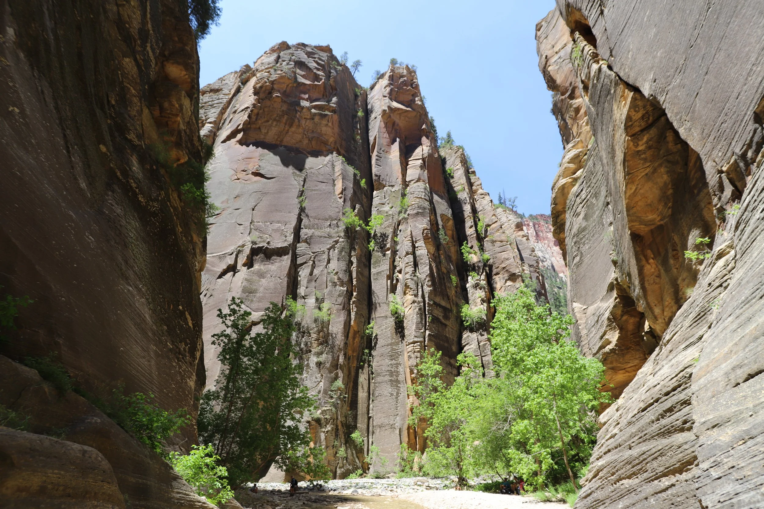 reserving campsites in the narrows