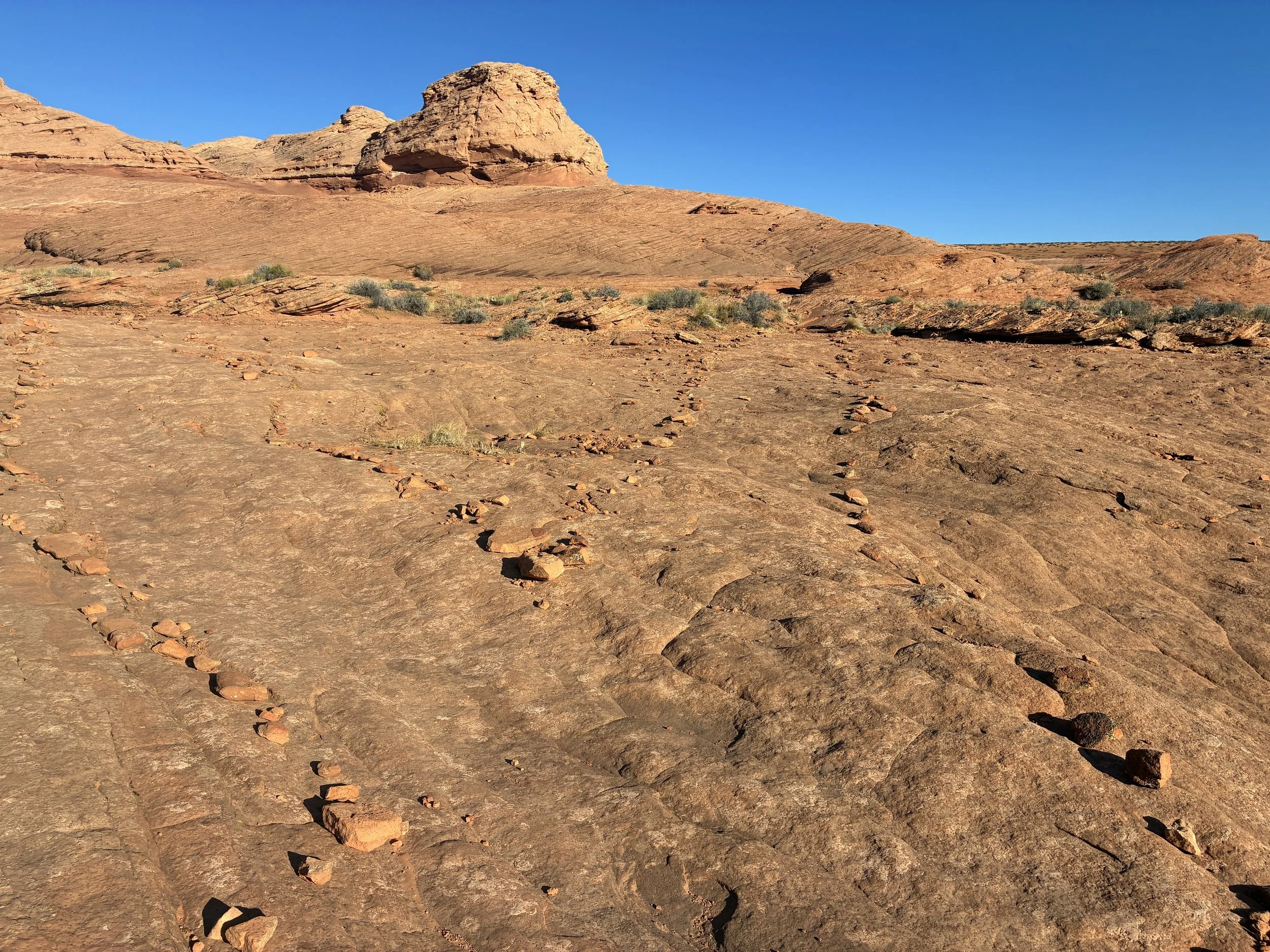 Best hikes near Page for kids