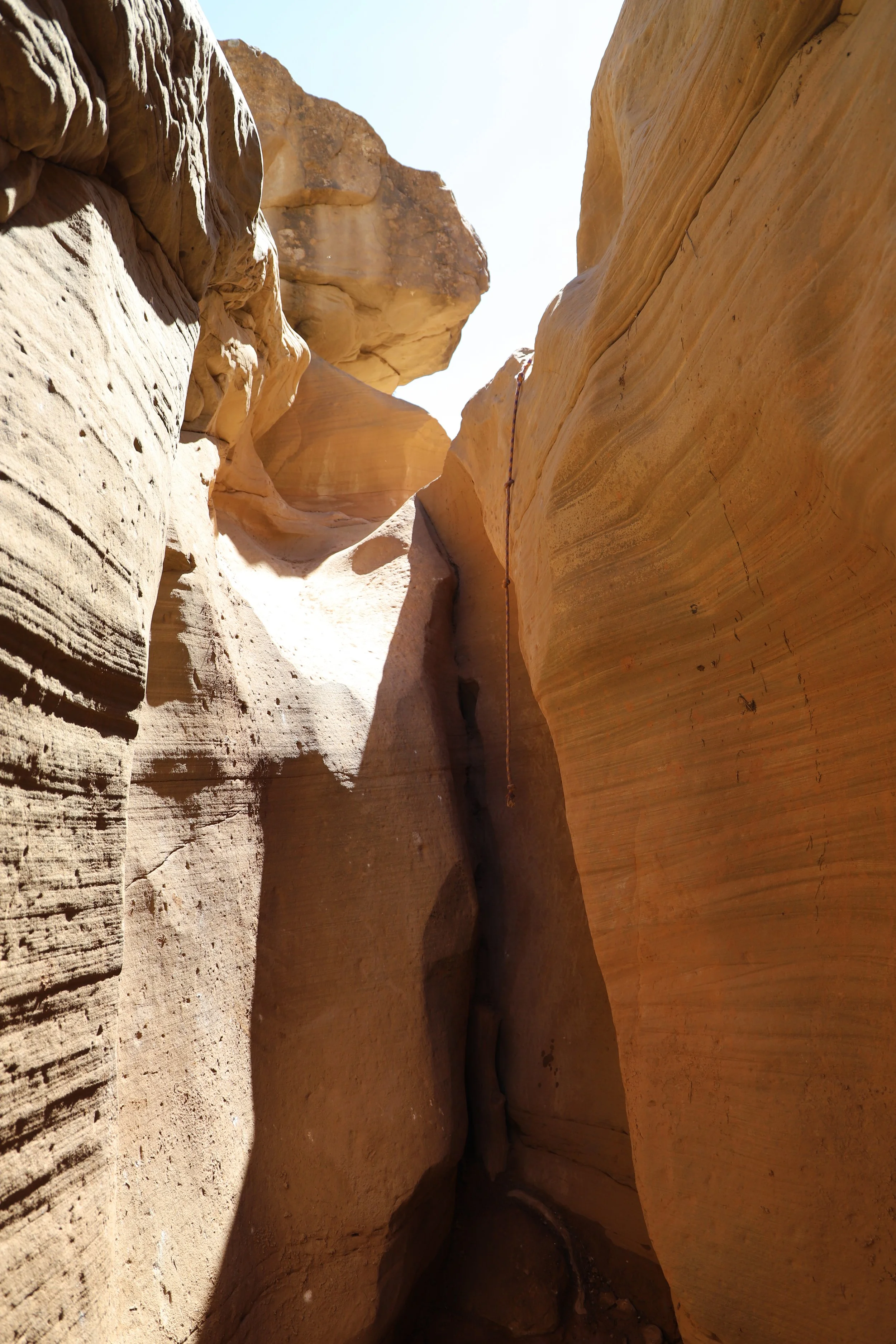Is Bull Valley Gorge a loop or out-and-back?