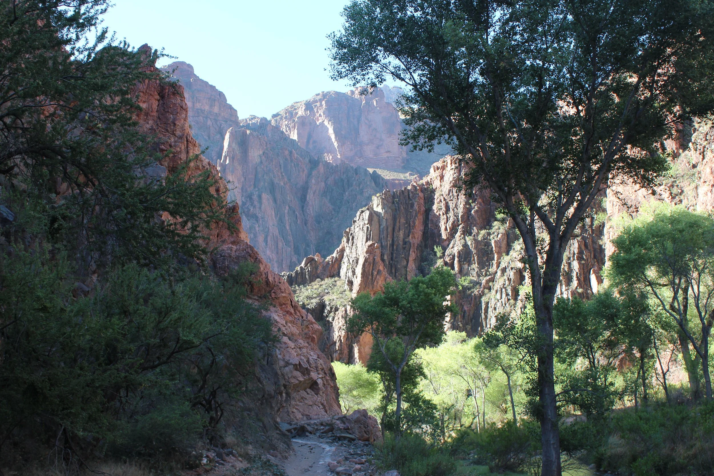 View of Grand Canyon from the bottom