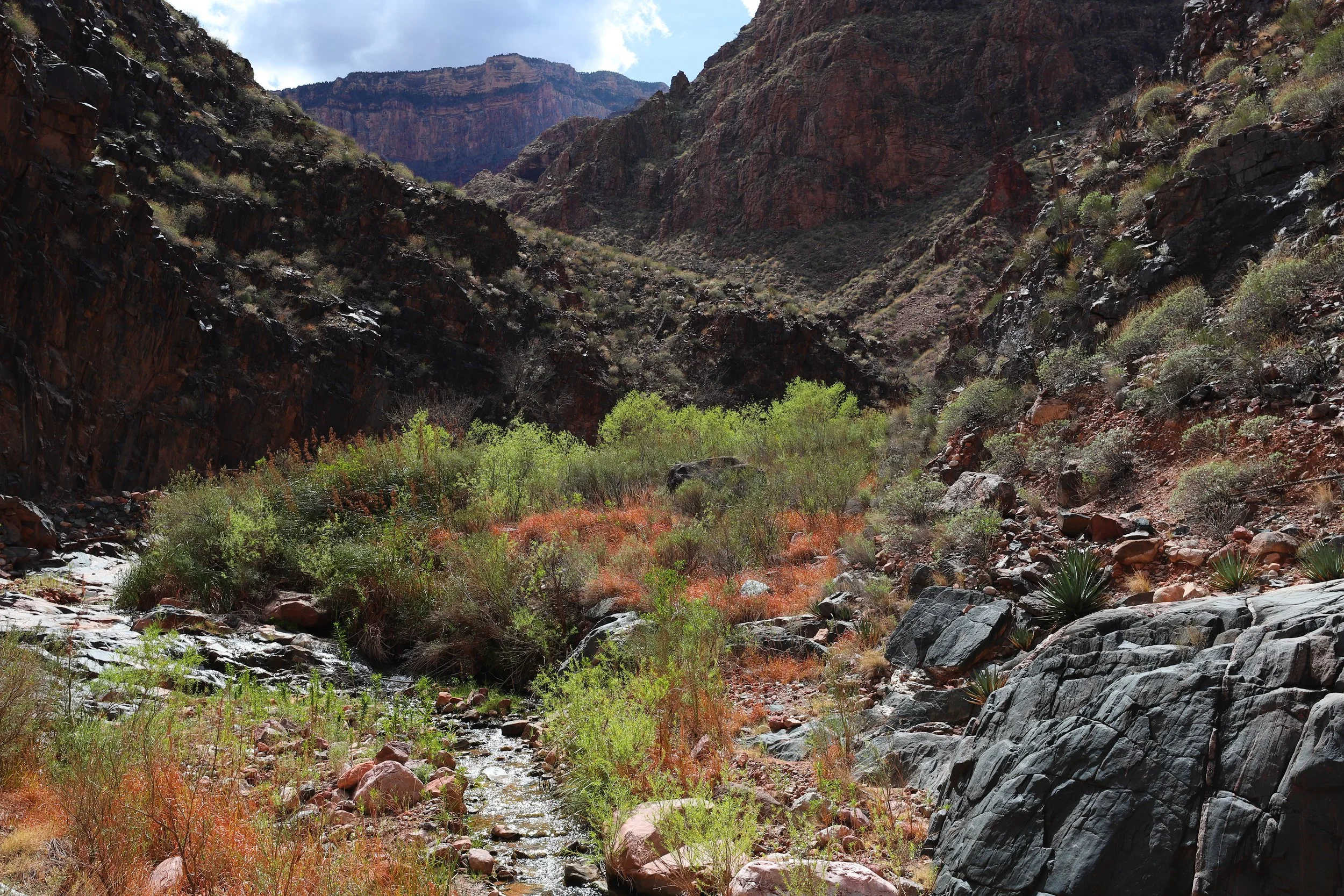 How to hike the Grand Canyon to the River and back?