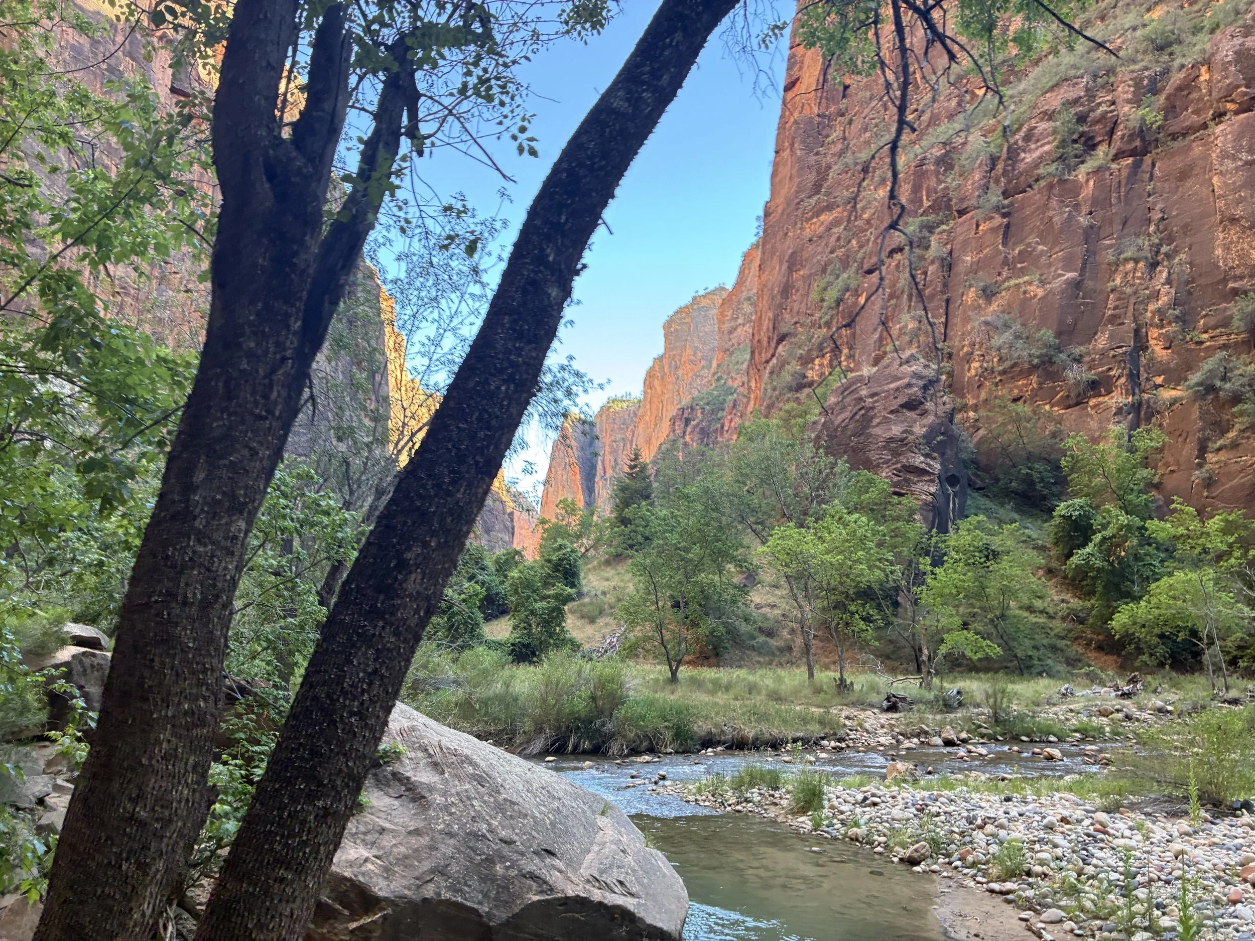 Zion Riverside Walk