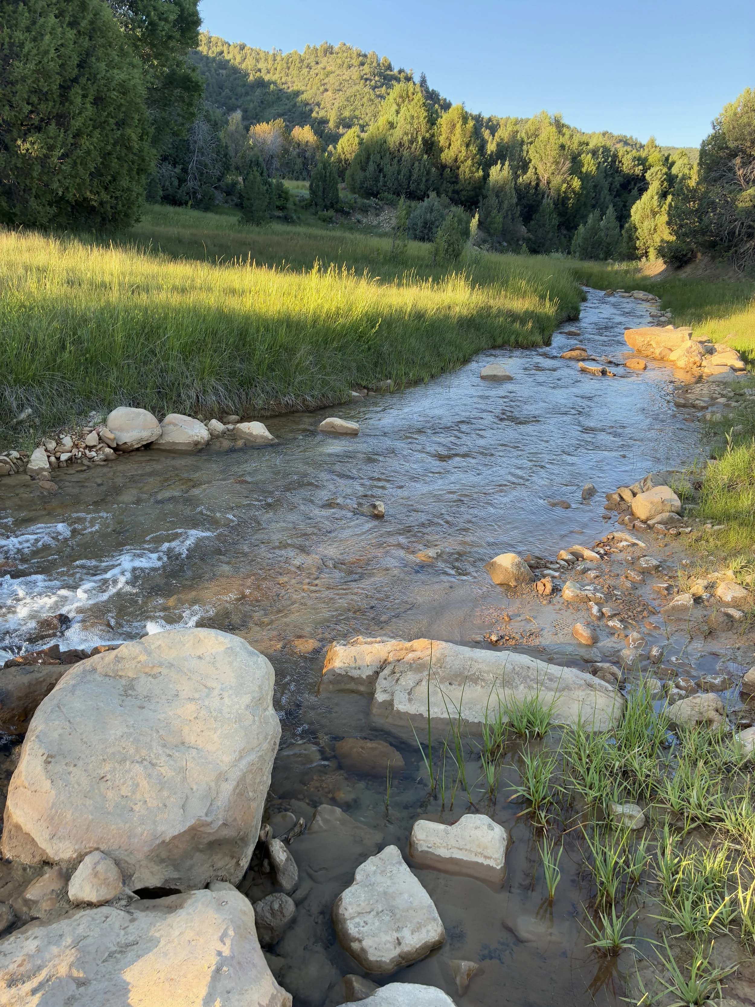Zion Narrows top-down trailhead