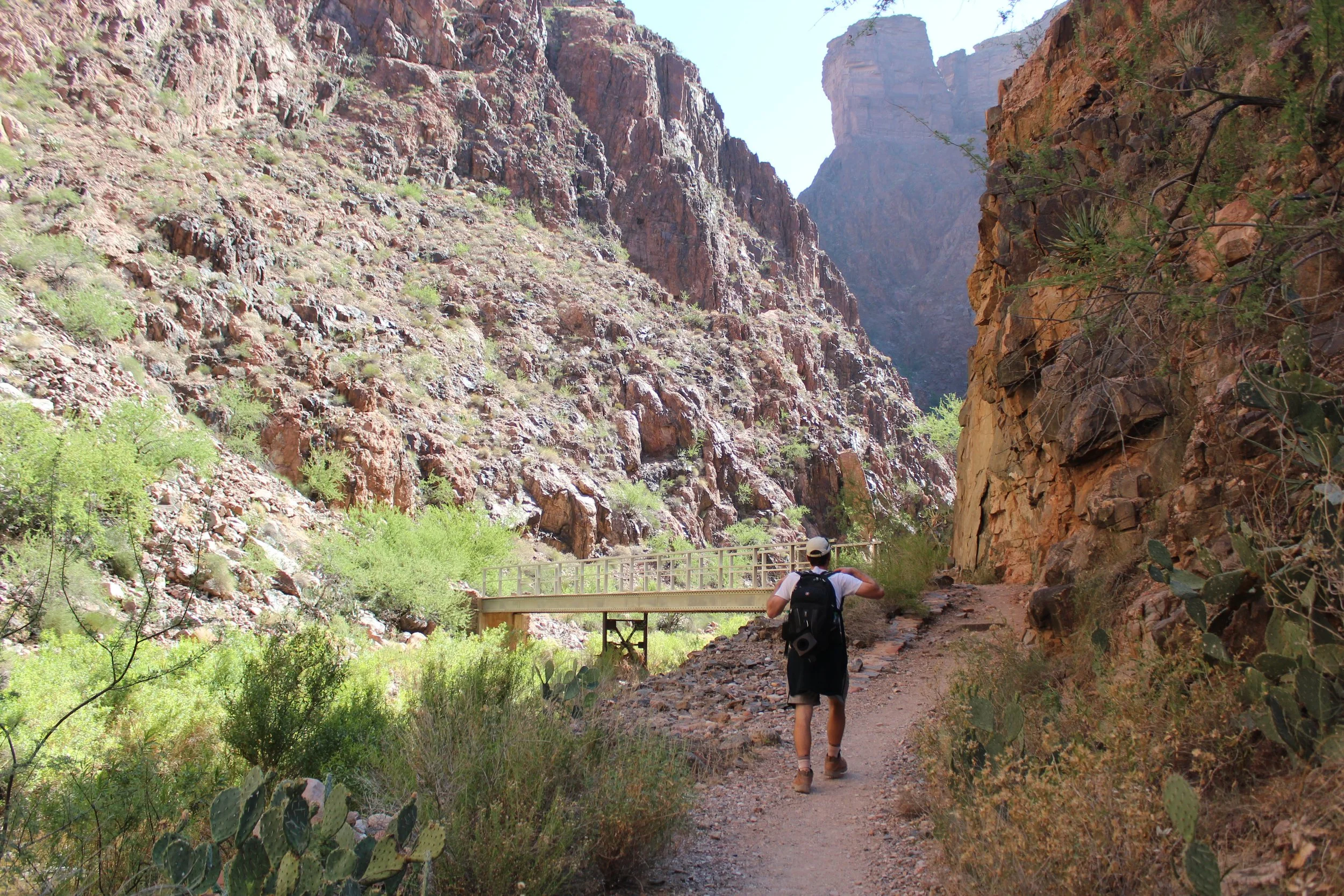 First footbridge north of Phantom Ranch in the Box