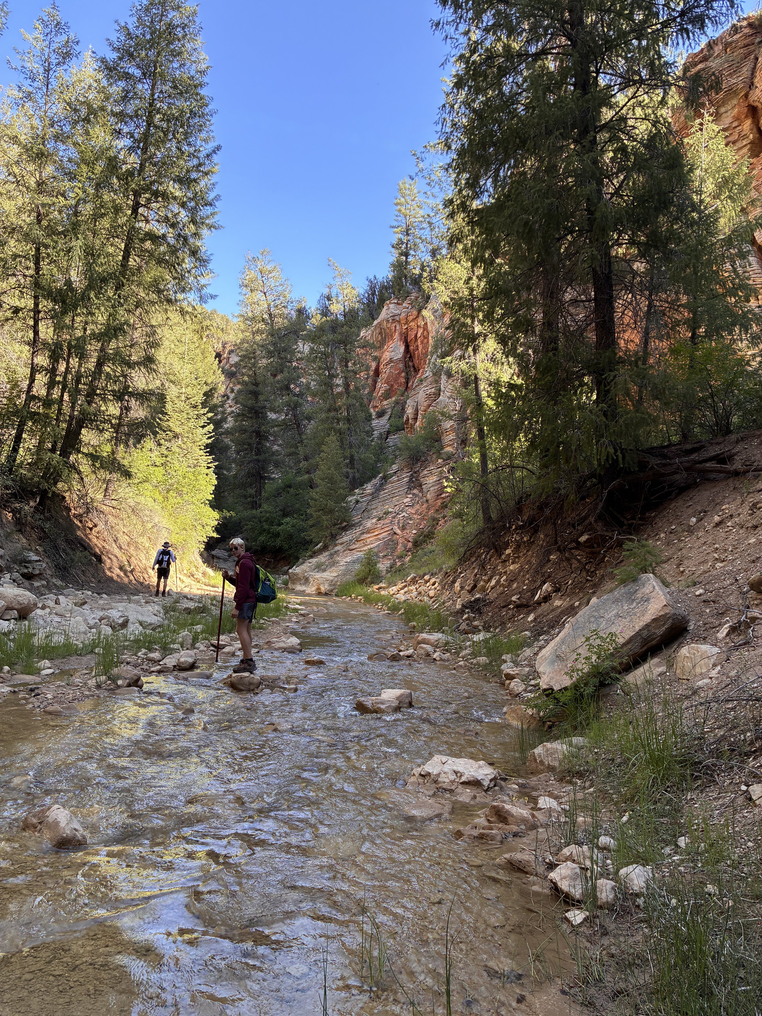 Can you stay dry on zion's narrows trail