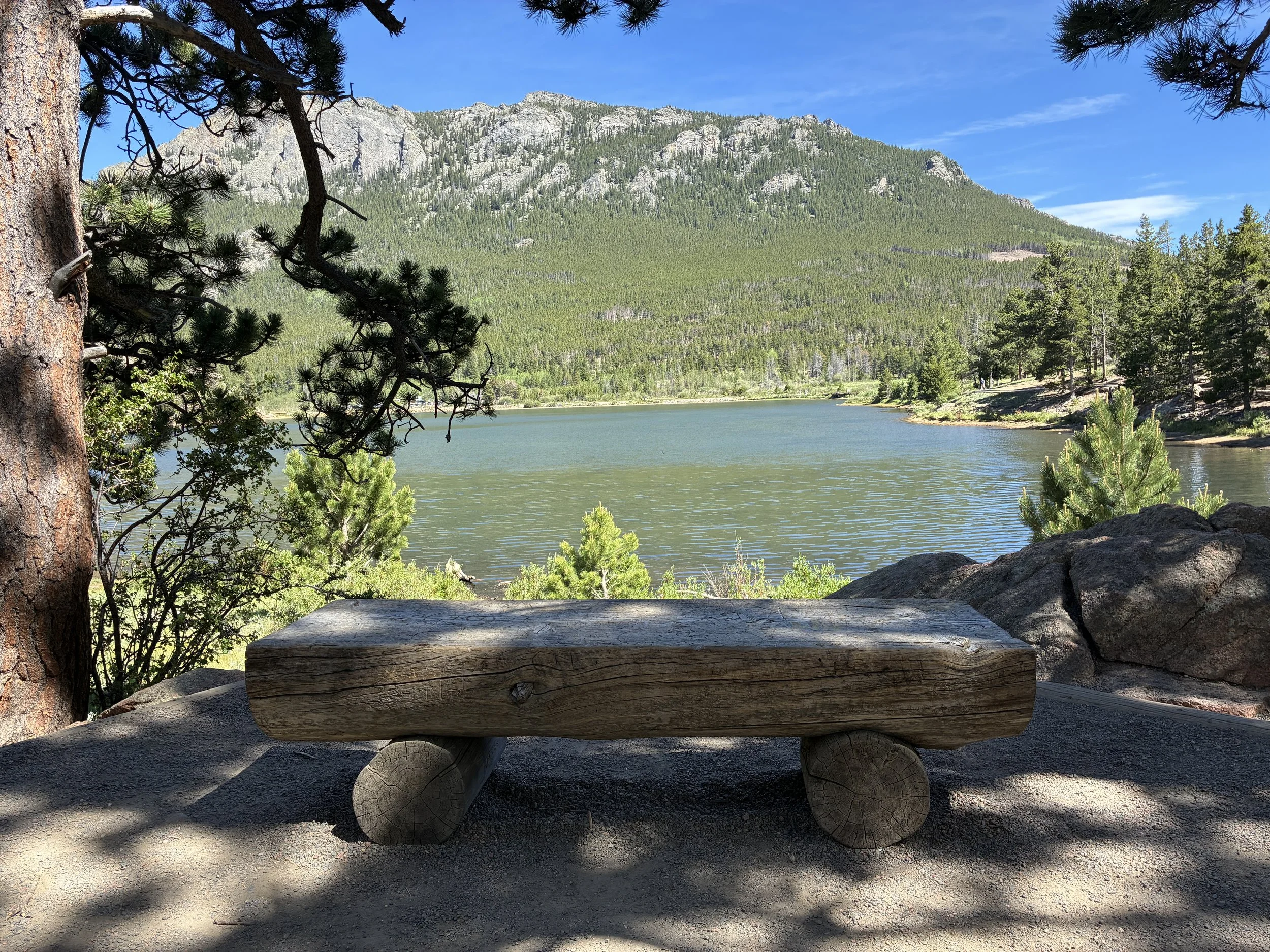 Places to sit along Lily Lake Trail