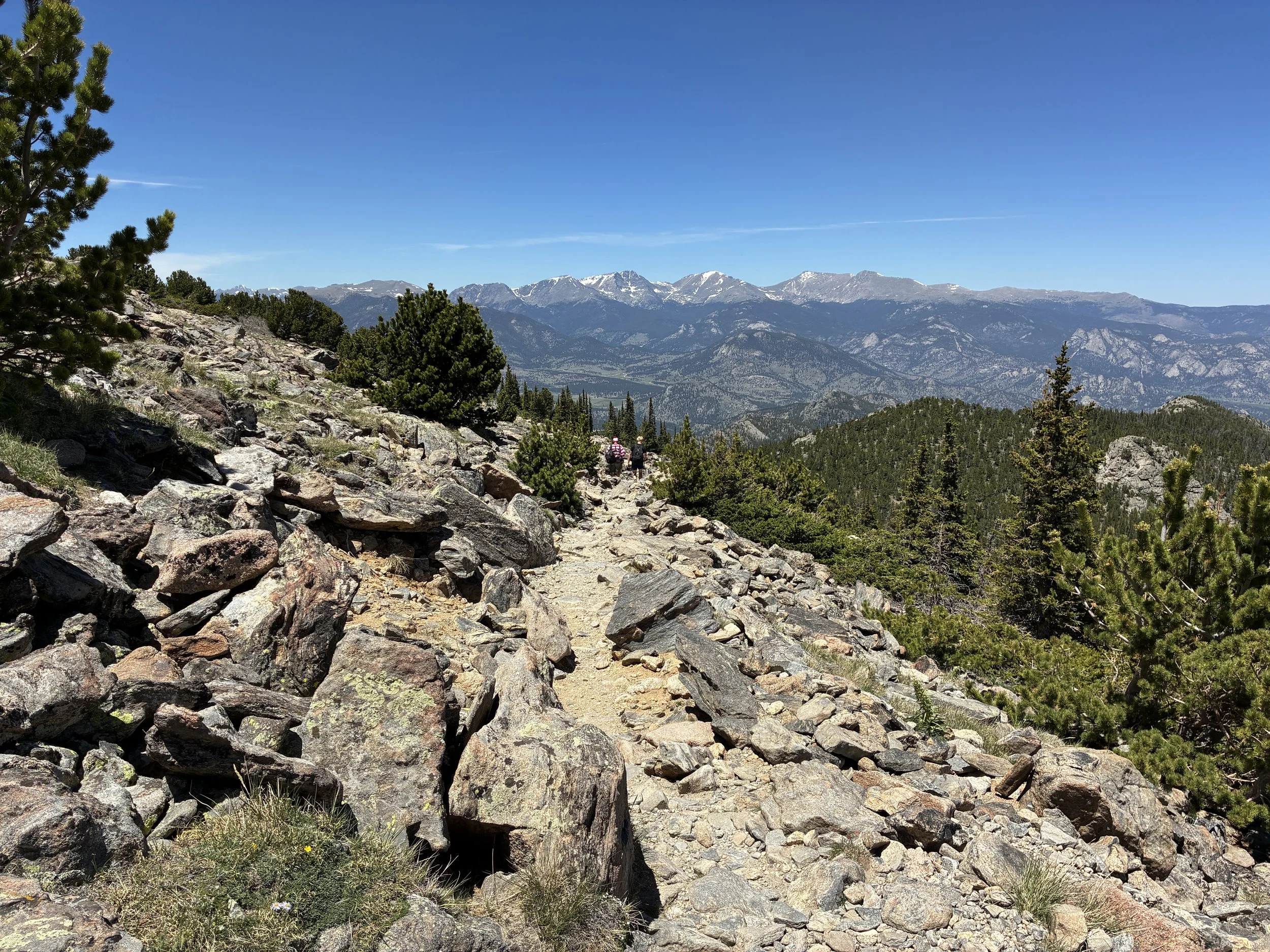 Twin Sisters Peak is above the tree line