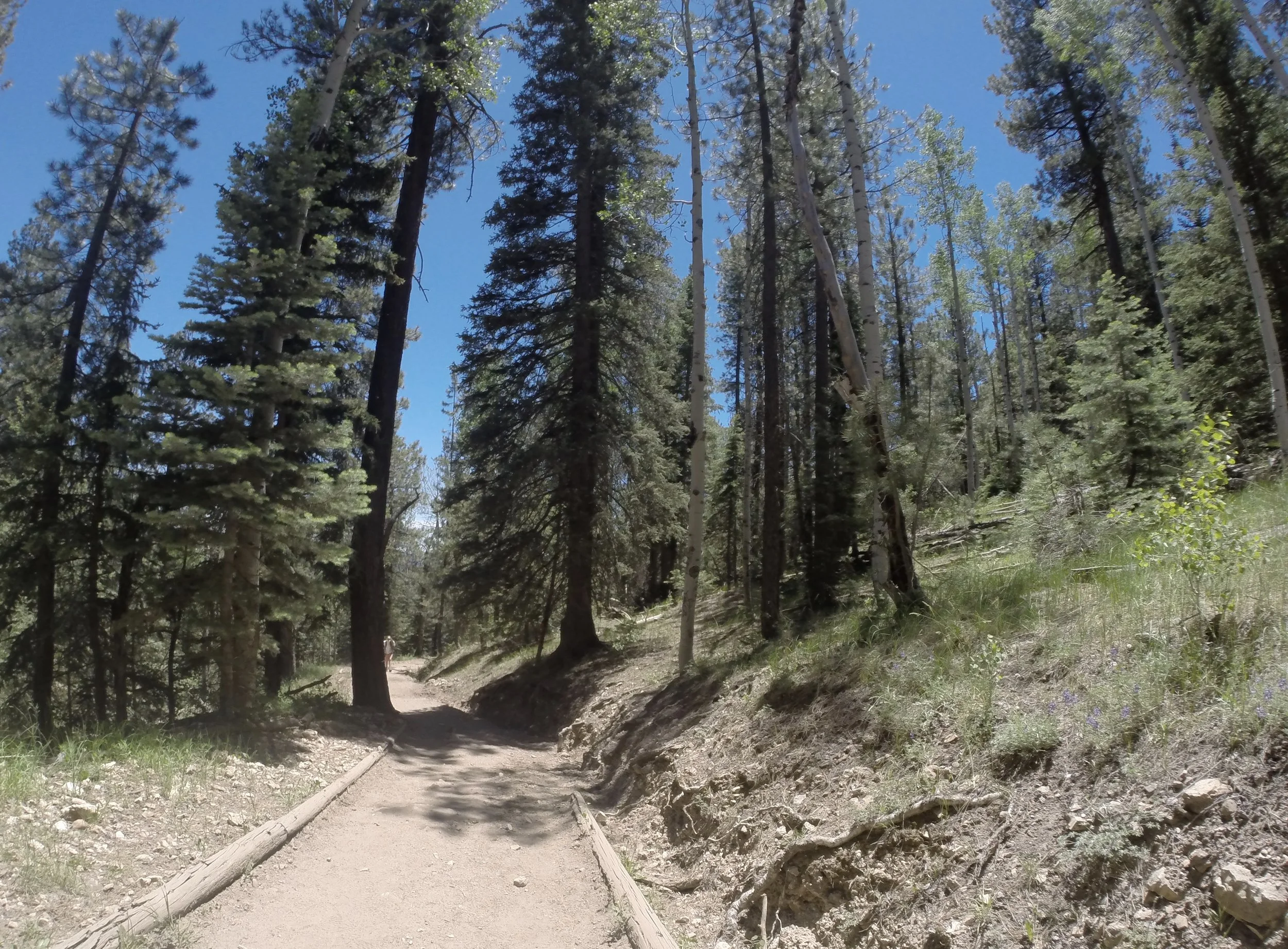 Hiking on the North Kaibab Trail