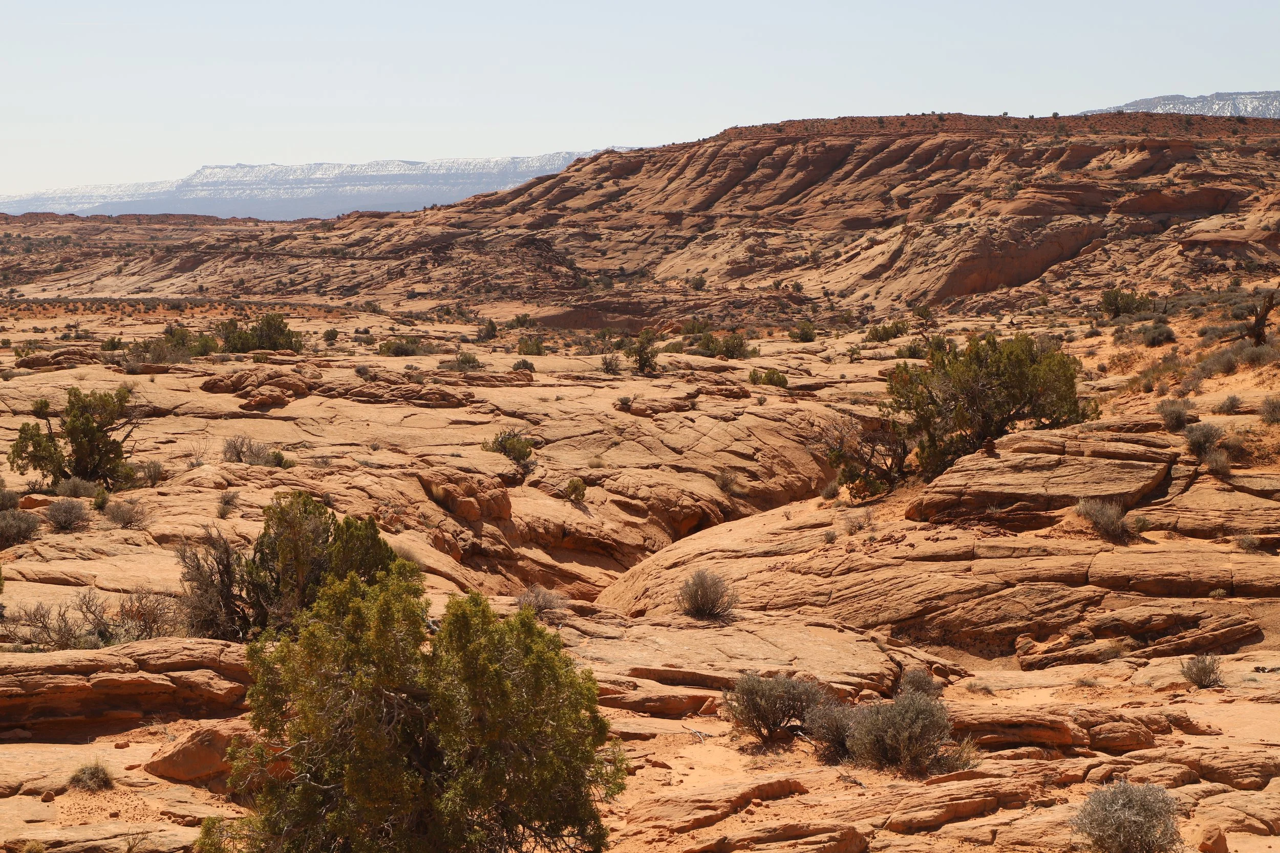 Is the trail between peekaboo and spooky gulch hard to follow?
